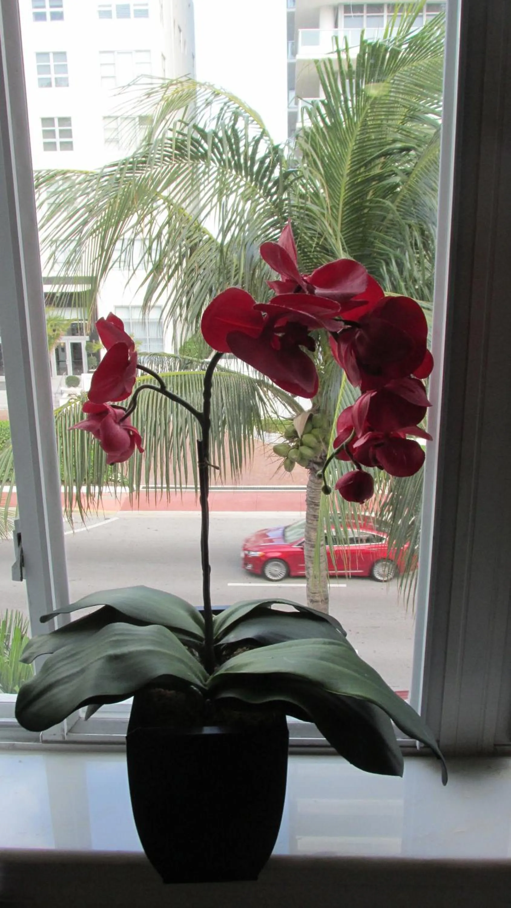 View (from property/room) in Ocean Dream