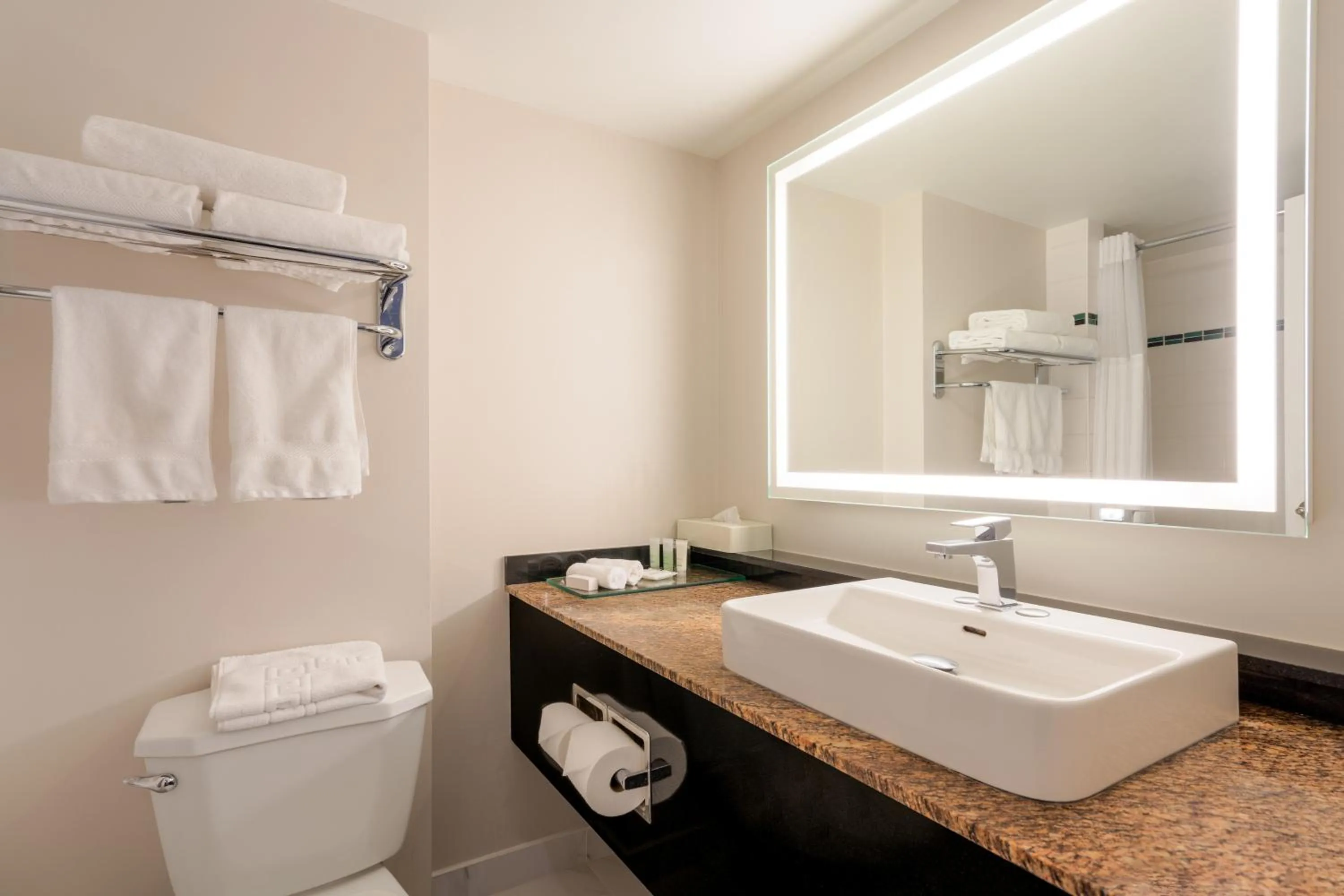 Executive Suites Hotel & Conference Center, Metro Vancouver