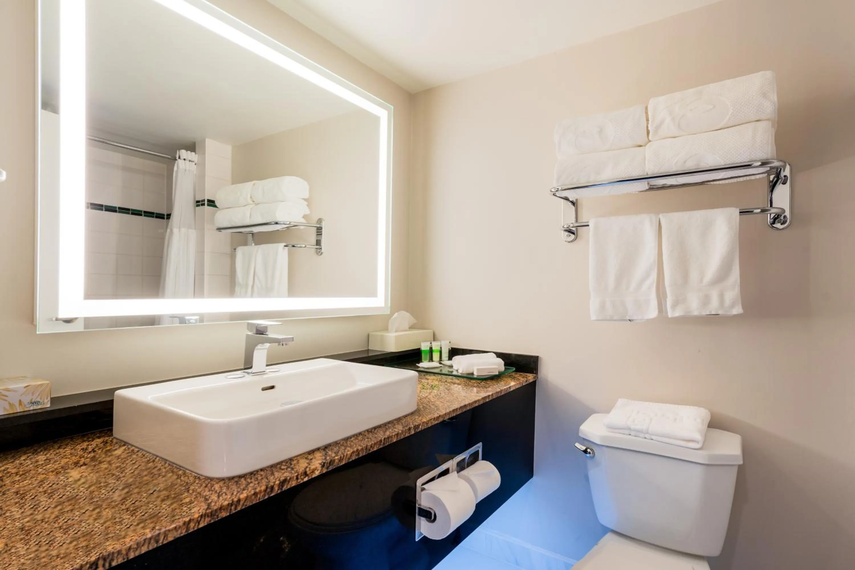 Executive Suites Hotel & Conference Center, Metro Vancouver