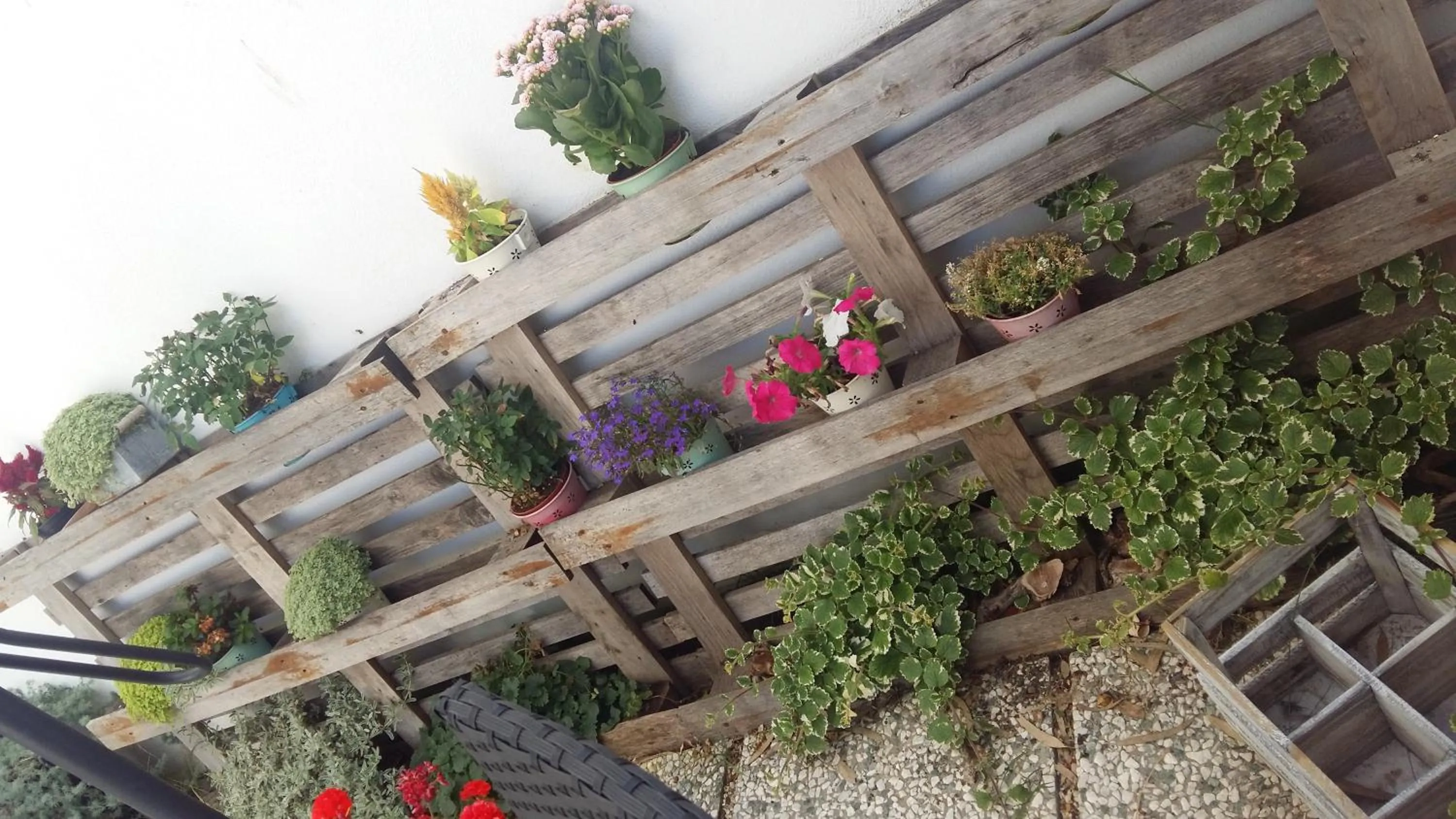 Garden in Il Piccolo B&B