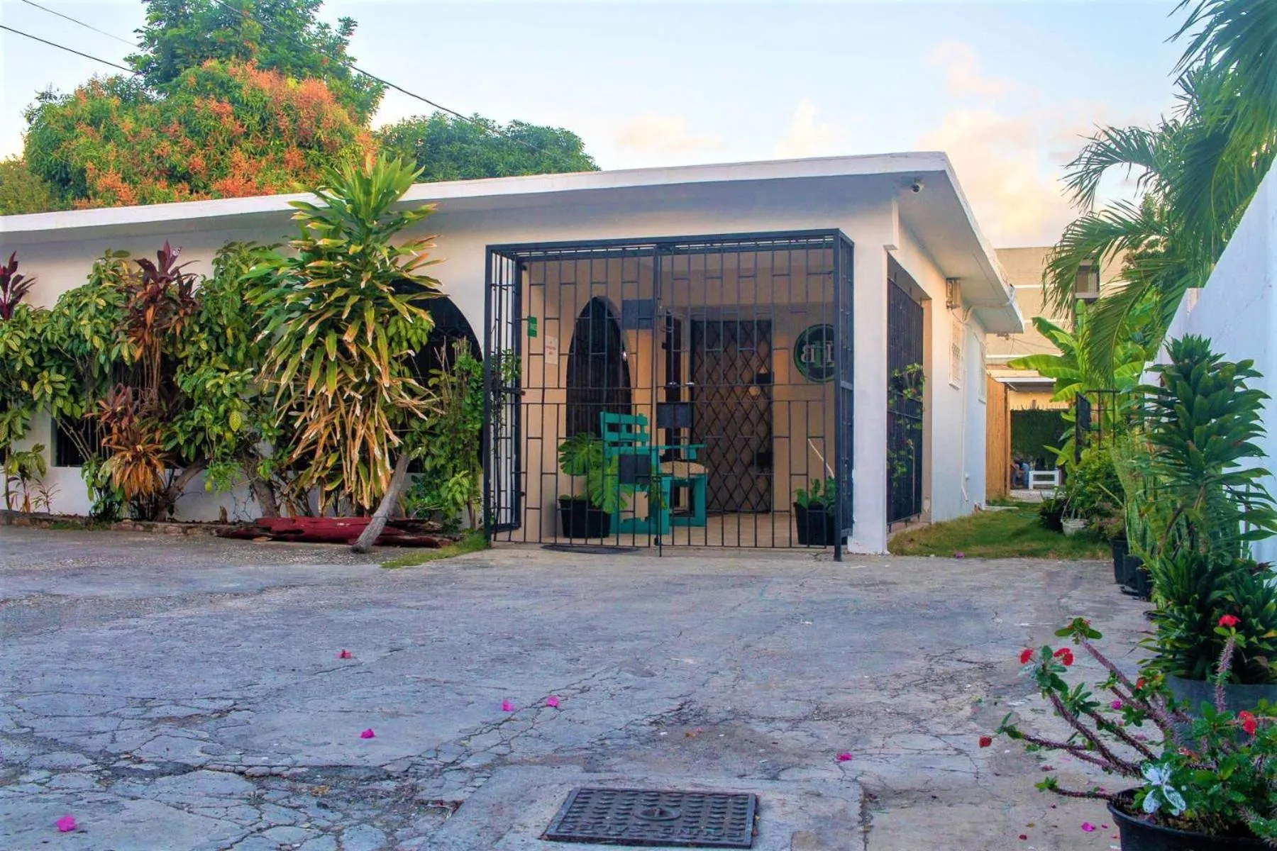 Property building in Eventuality B&B New Kingston
