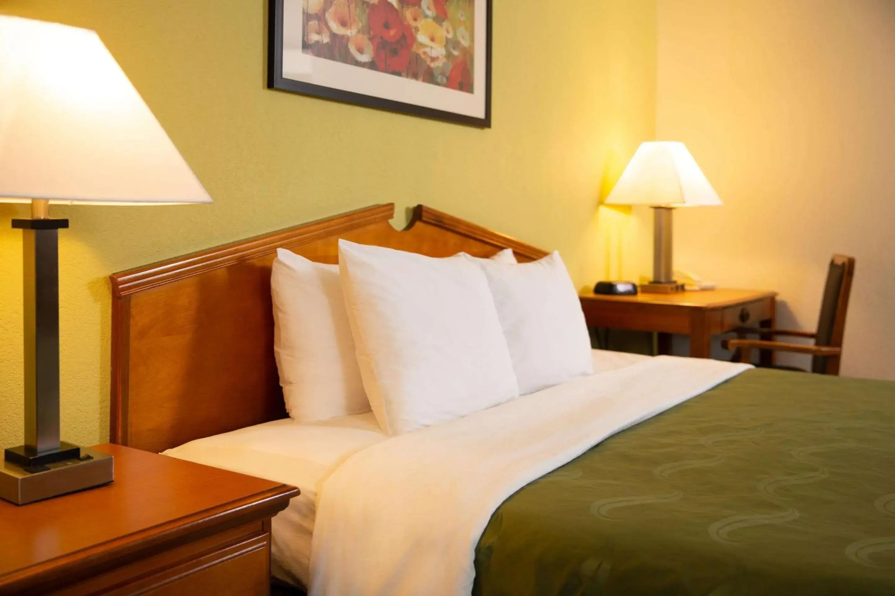 Photo of the whole room, Bed in Quality Inn at Arlington Highlands Photo of the whole room, Bed in Quality Inn at Arlington Highlands