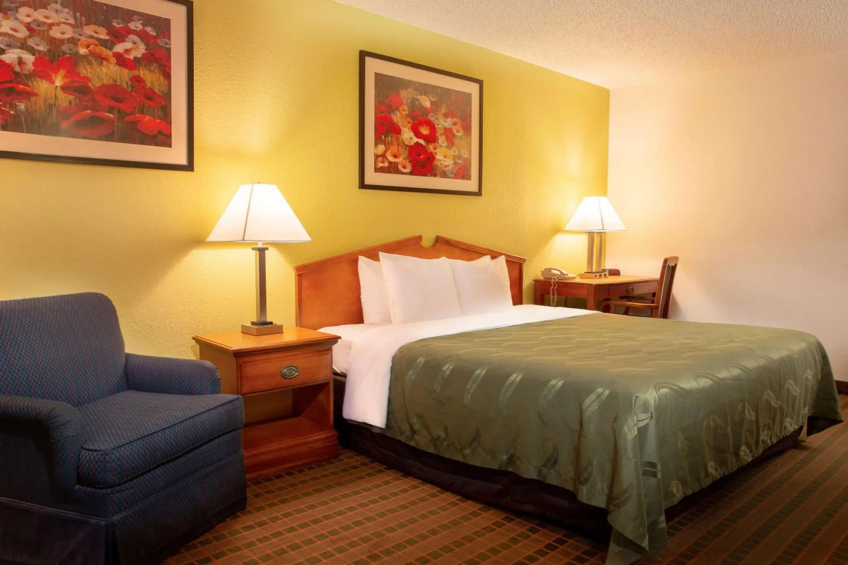 Photo of the whole room, Bed in Quality Inn at Arlington Highlands Photo of the whole room, Bed in Quality Inn at Arlington Highlands