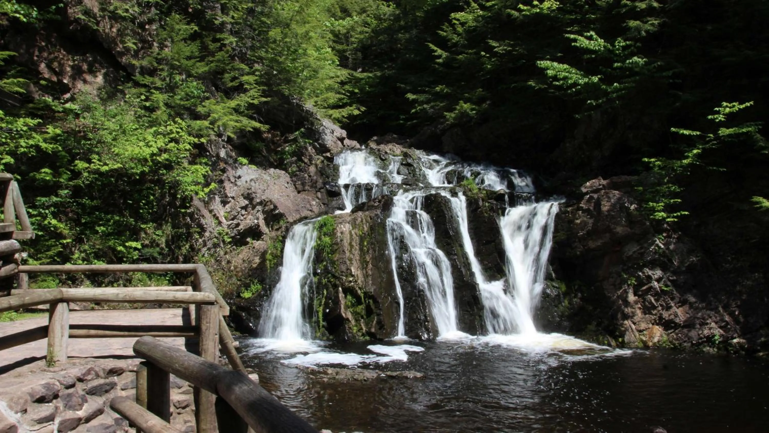 Other in Holiday Inn Express Hotel & Suites Brattleboro by IHG