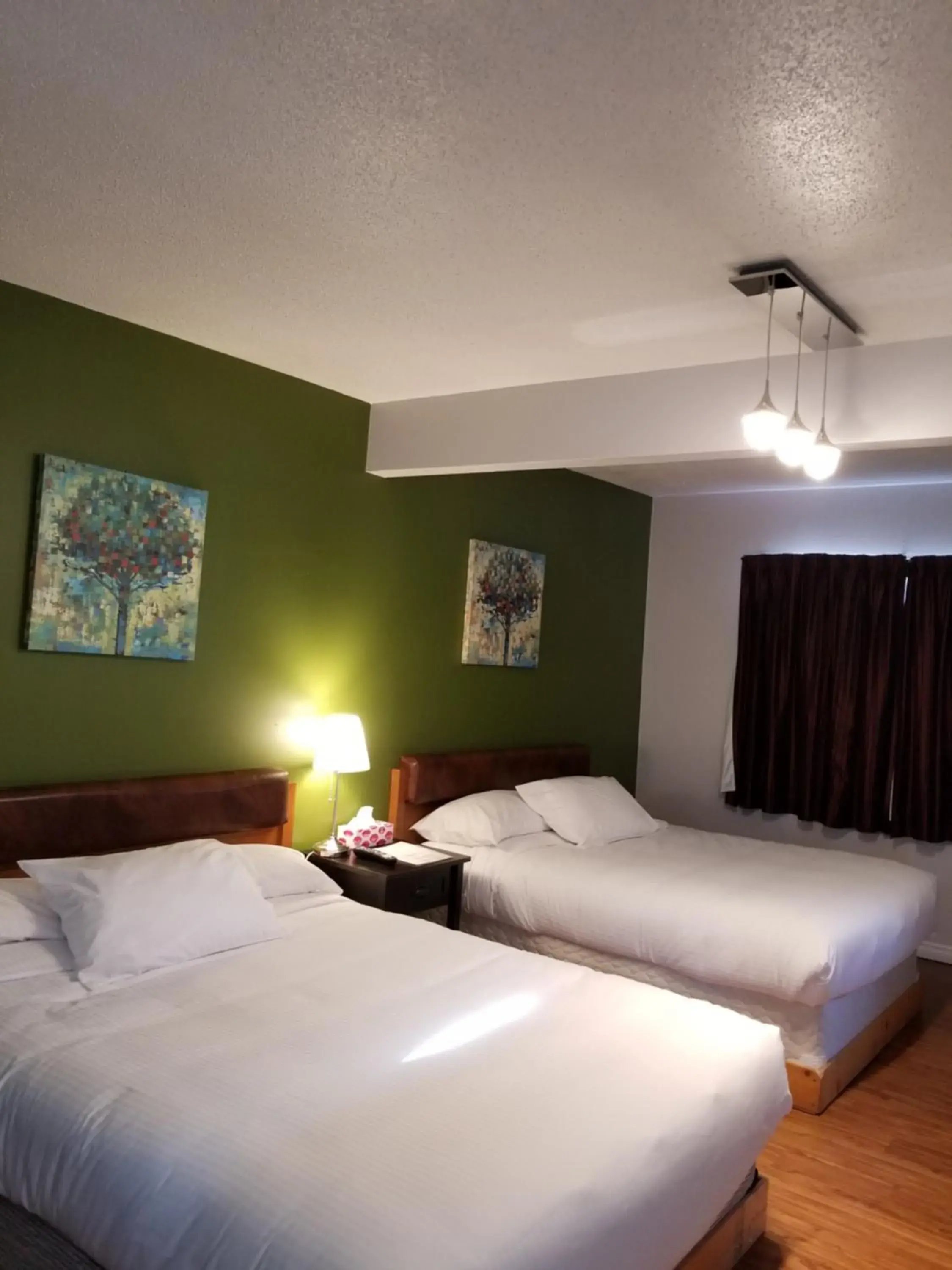 Sun Plaza Motel Sun Plaza Motel