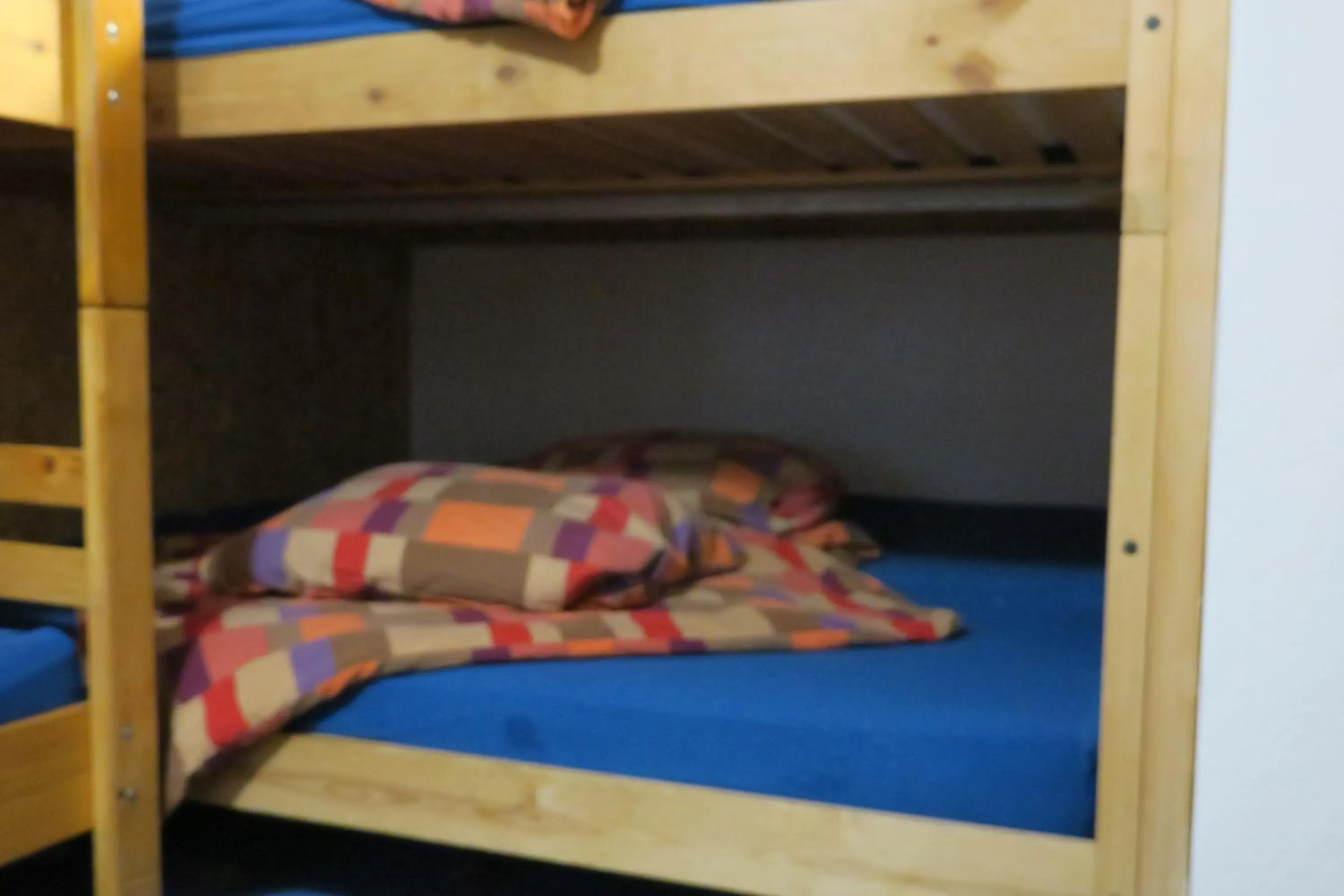Bed in SnowBunnys BackPackers Hostel
