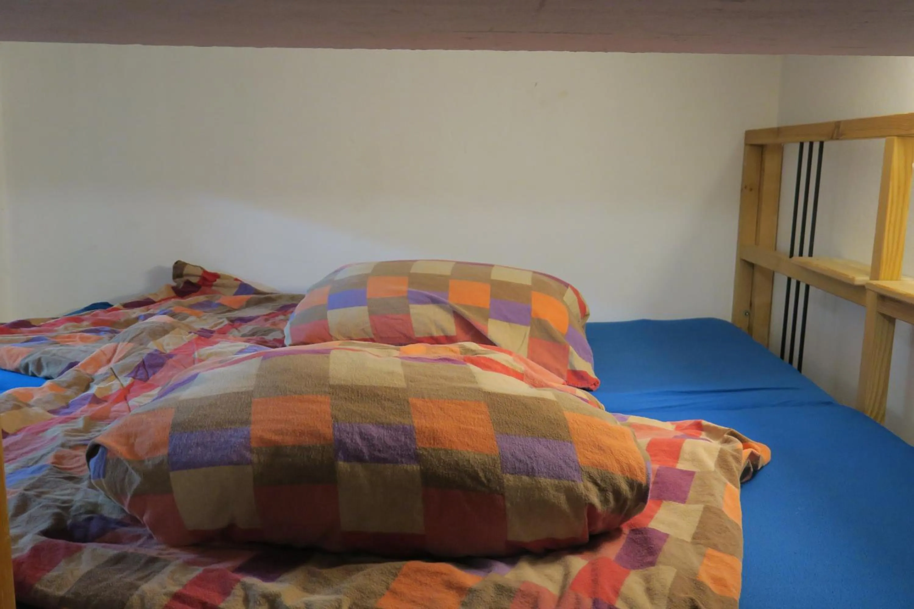 Bed in SnowBunnys BackPackers Hostel