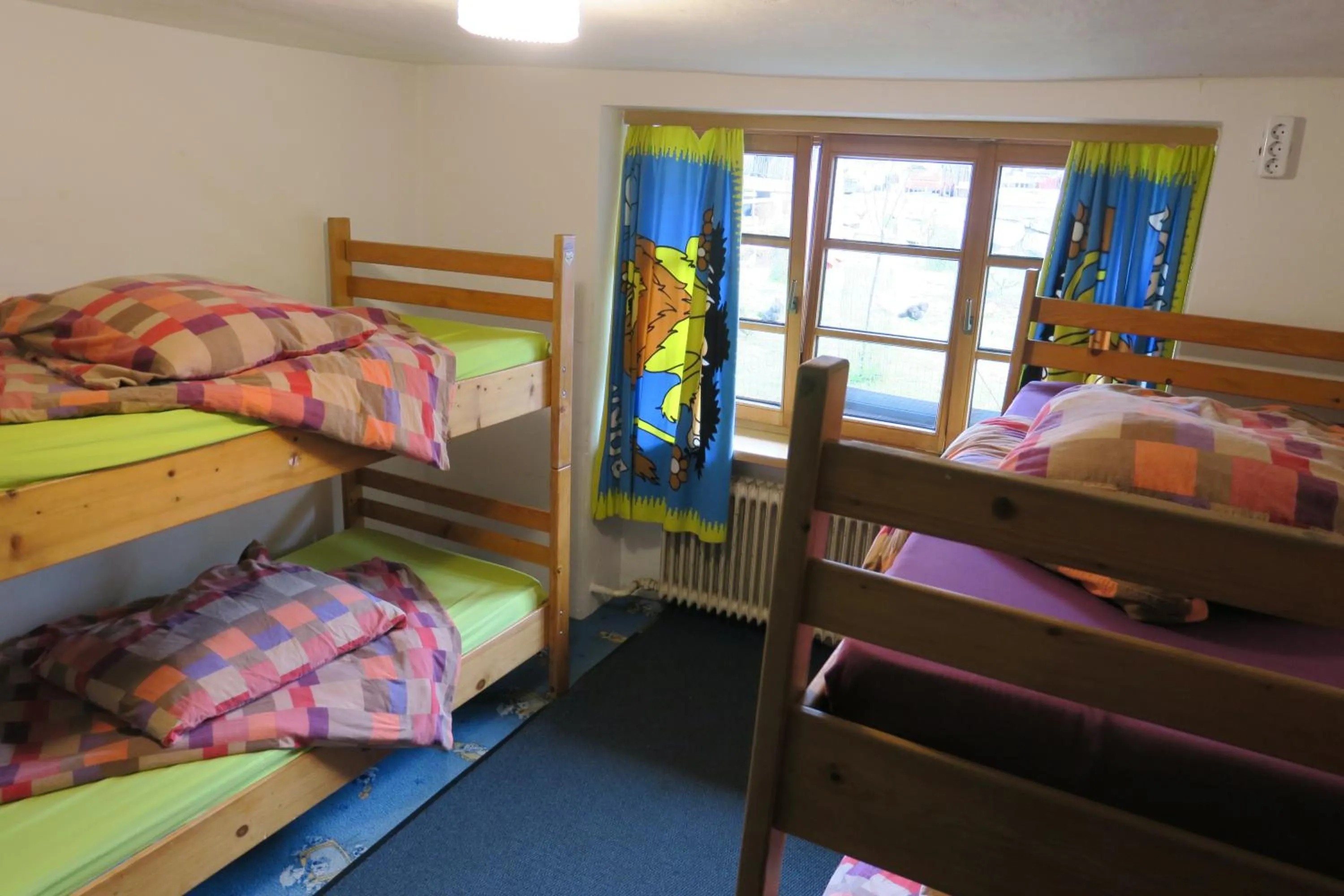 Bed in SnowBunnys BackPackers Hostel