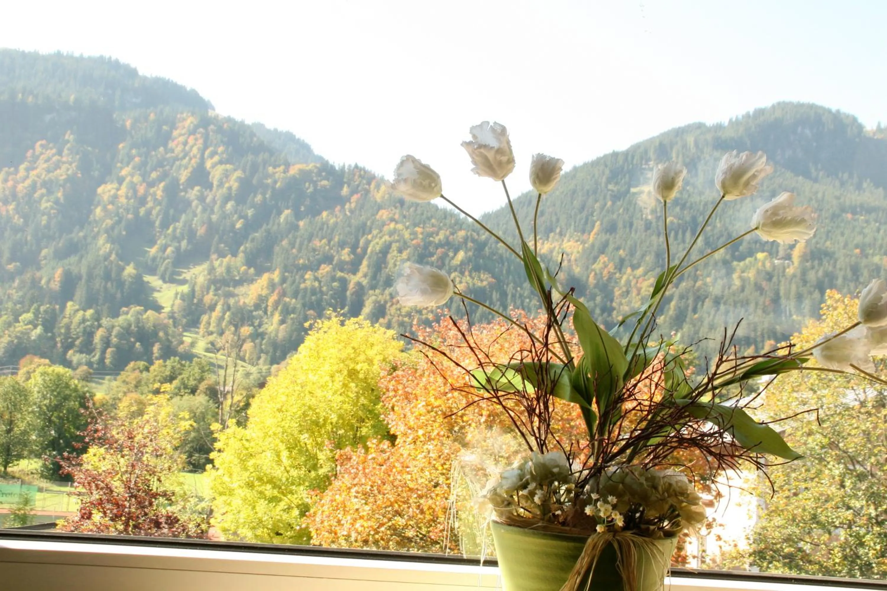 View (from property/room) in Hotel Garni Entstrasser