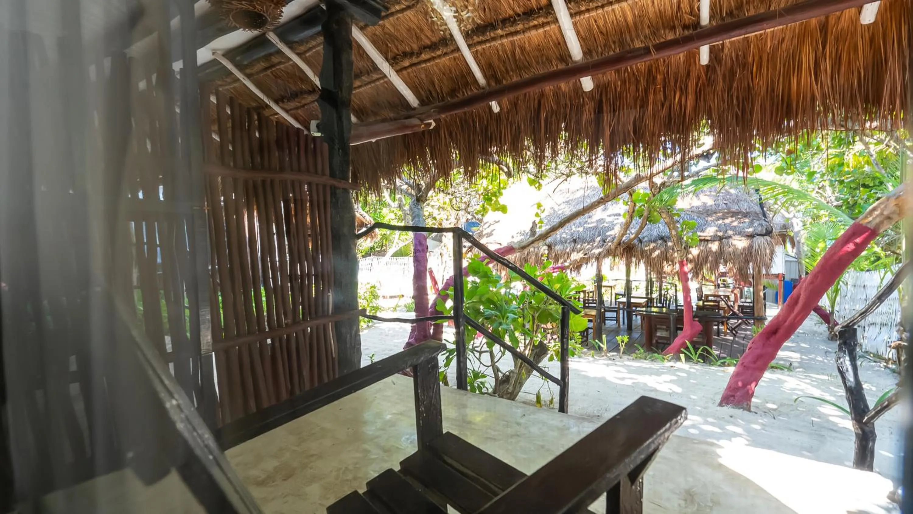 View (from property/room) in Chancabañita Tulum