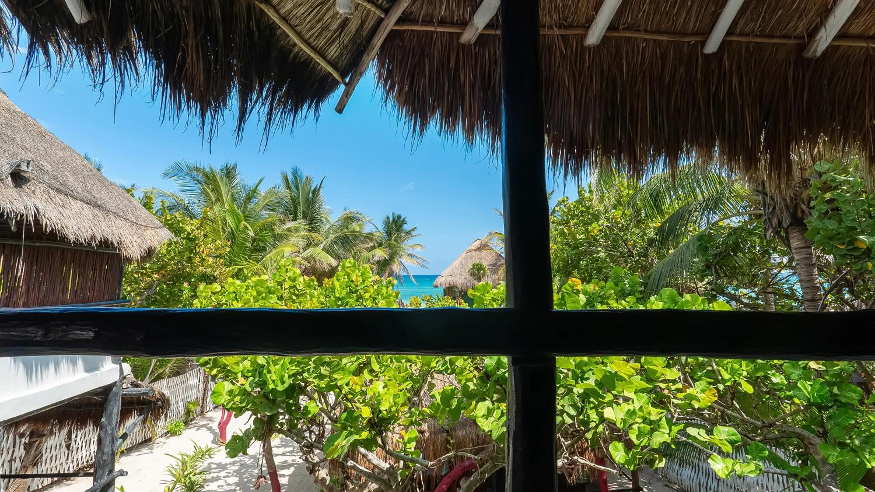 View (from property/room) in Chancabañita Tulum