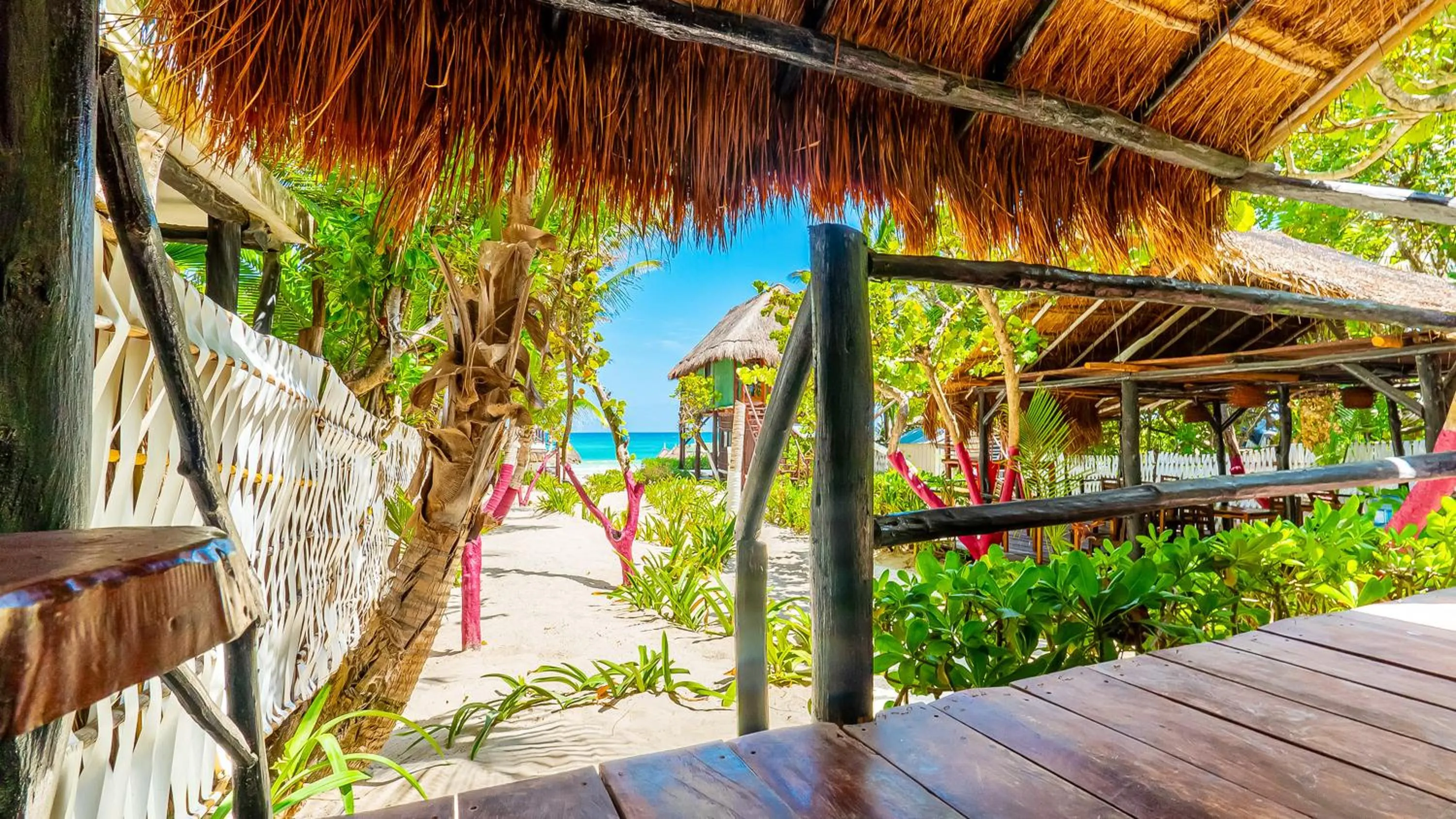 View (from property/room) in Chancabañita Tulum