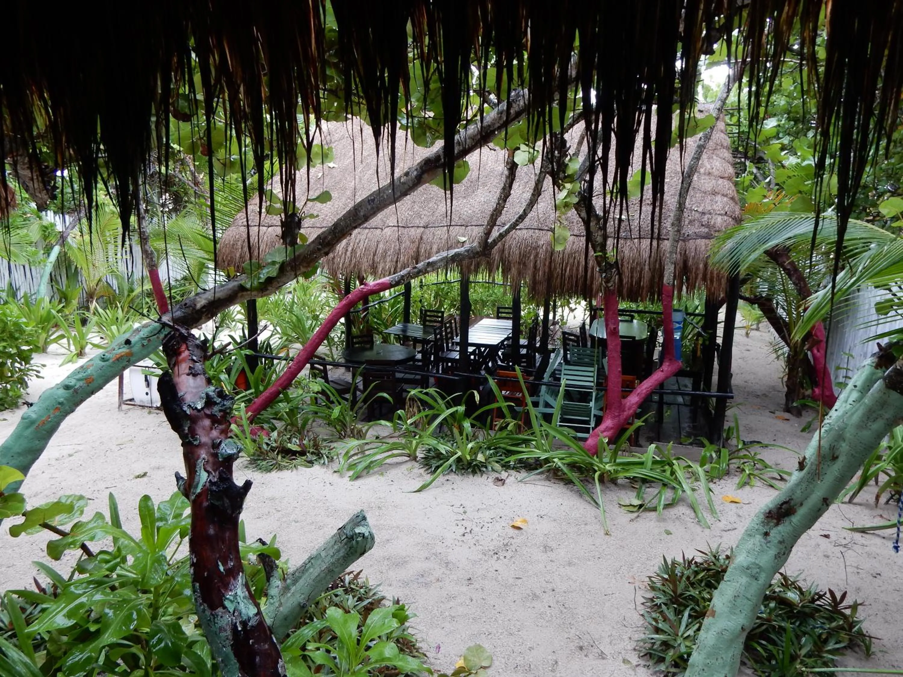 Garden in Chancabañita Tulum