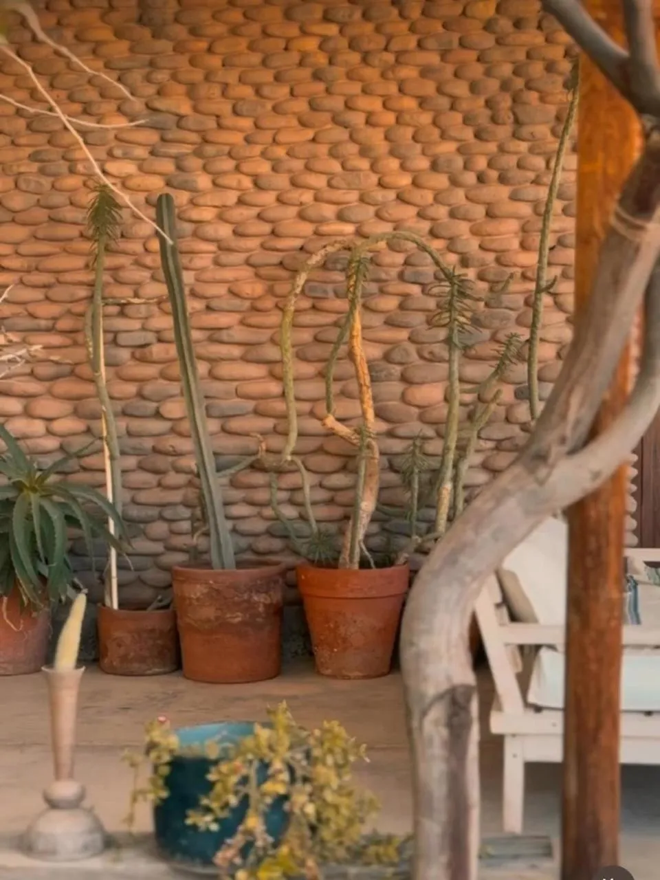 Casa Luna Hotel Boutique Bed & Breakfast