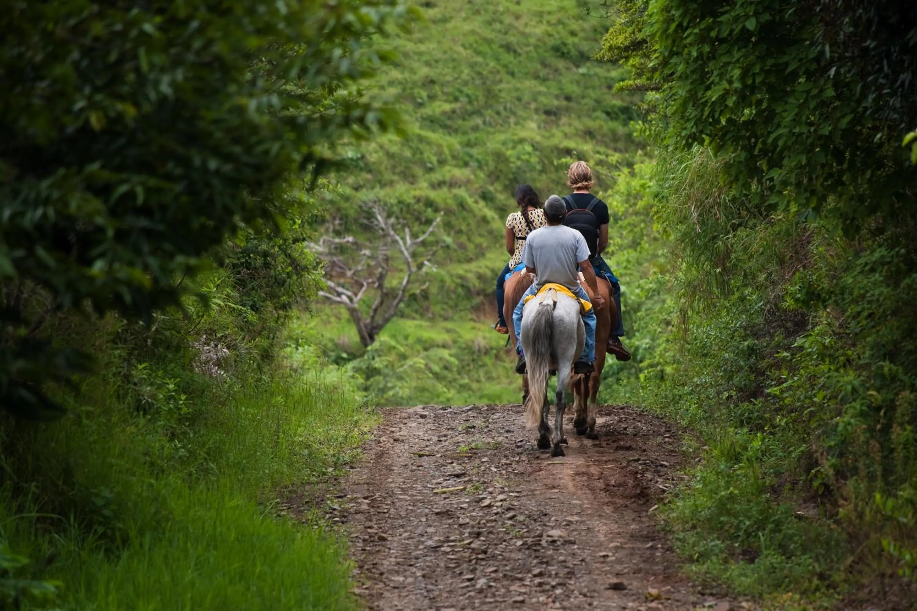 Hiking in Hotel Manuel Antonio Park