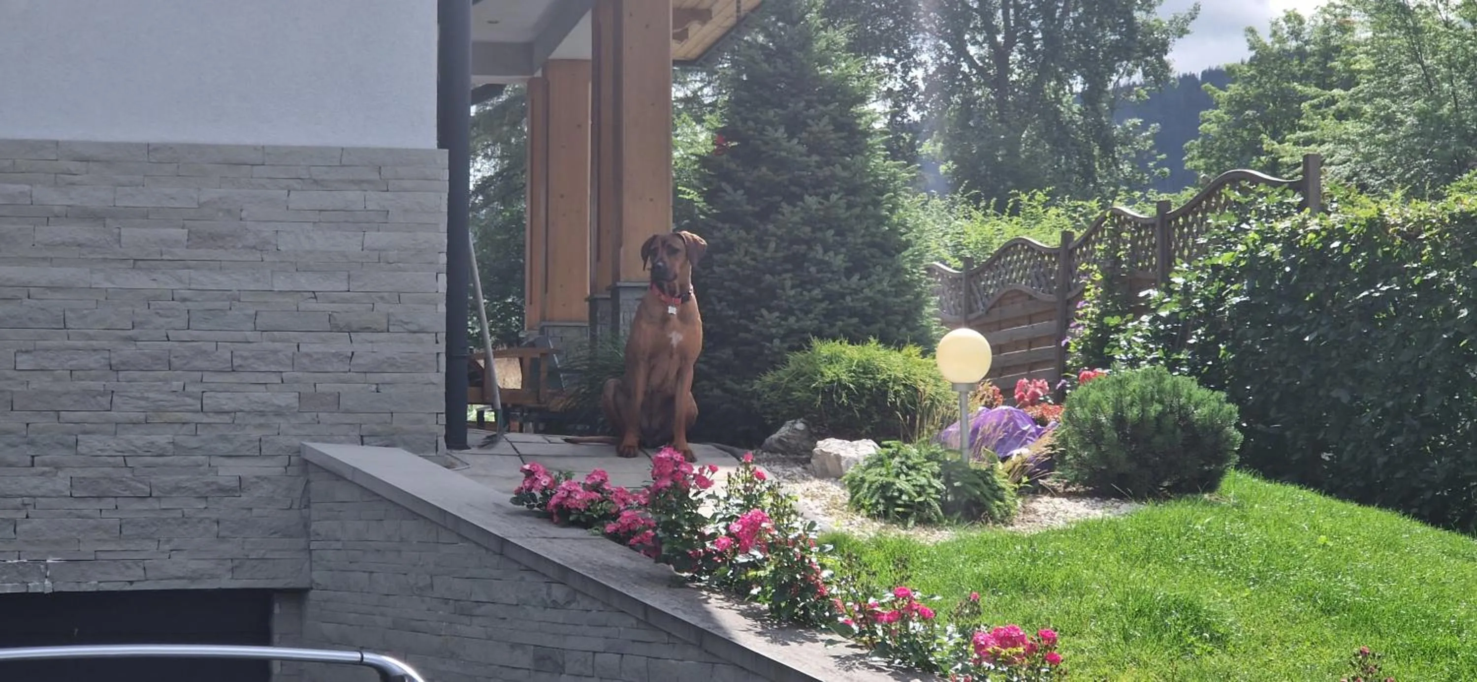 Garden in Domek za Strugiem - pokoje i apartamenty
