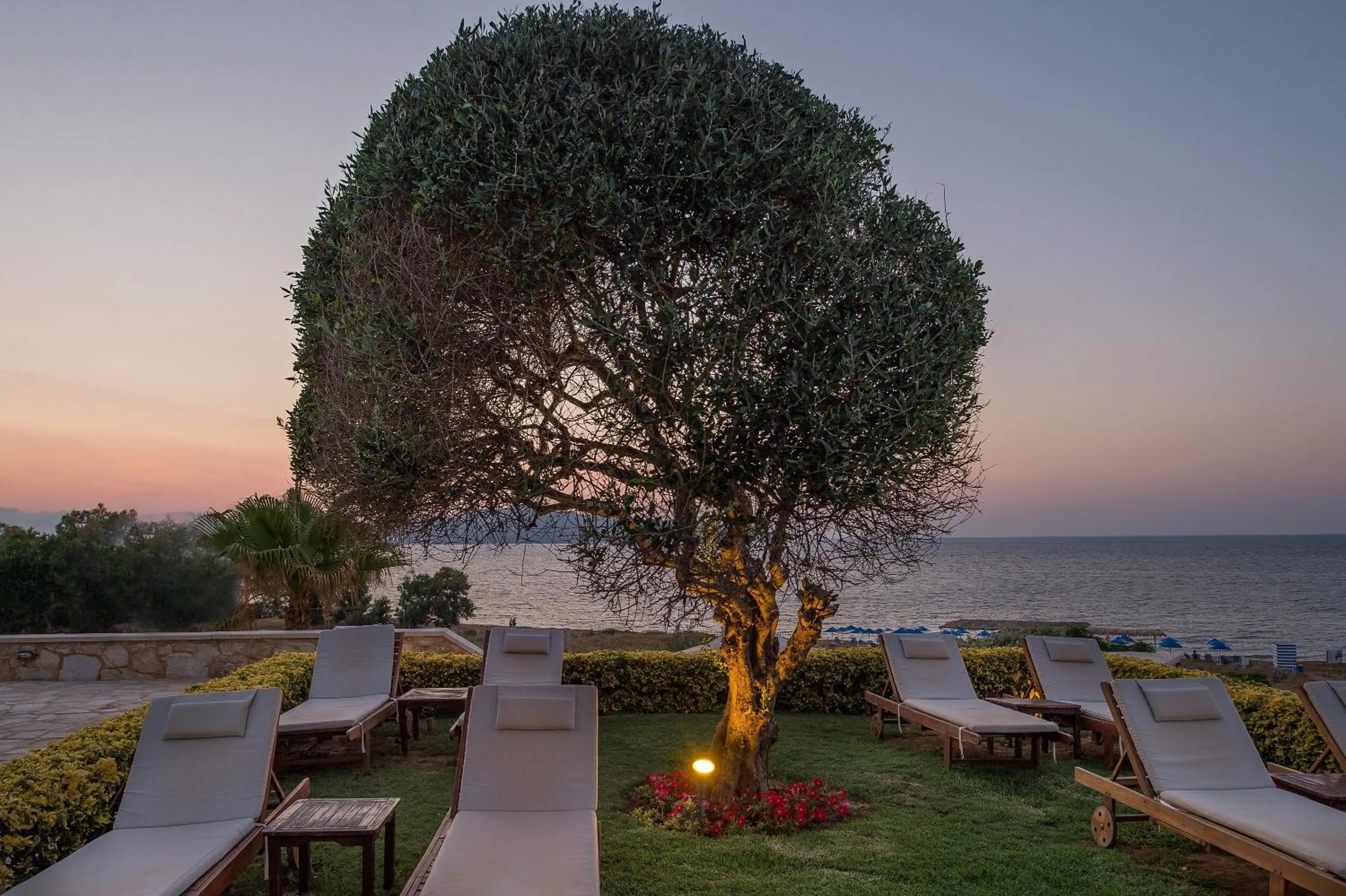 Garden in Cretan Dream Resort & Spa