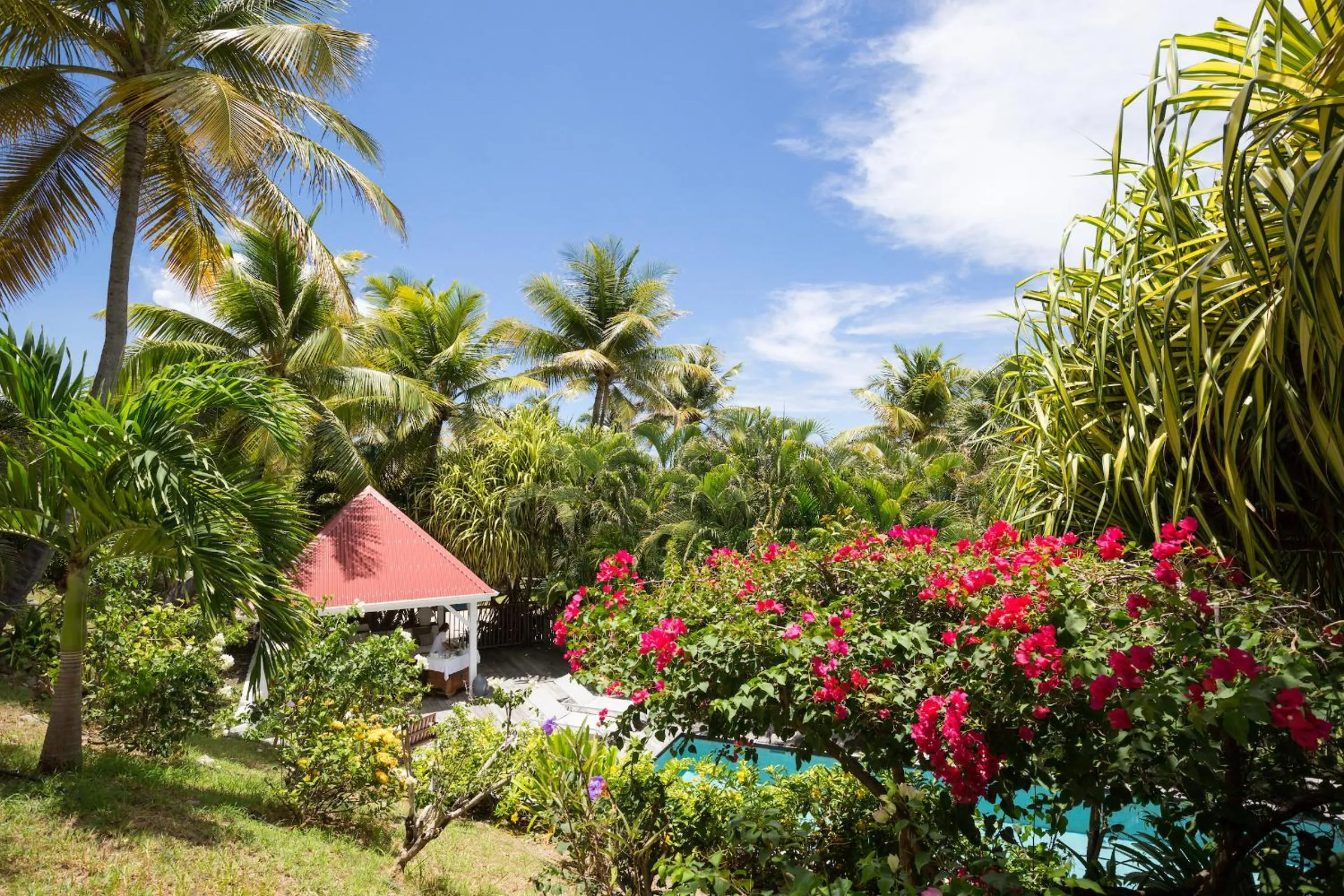Garden in Les Ilets De La Plage