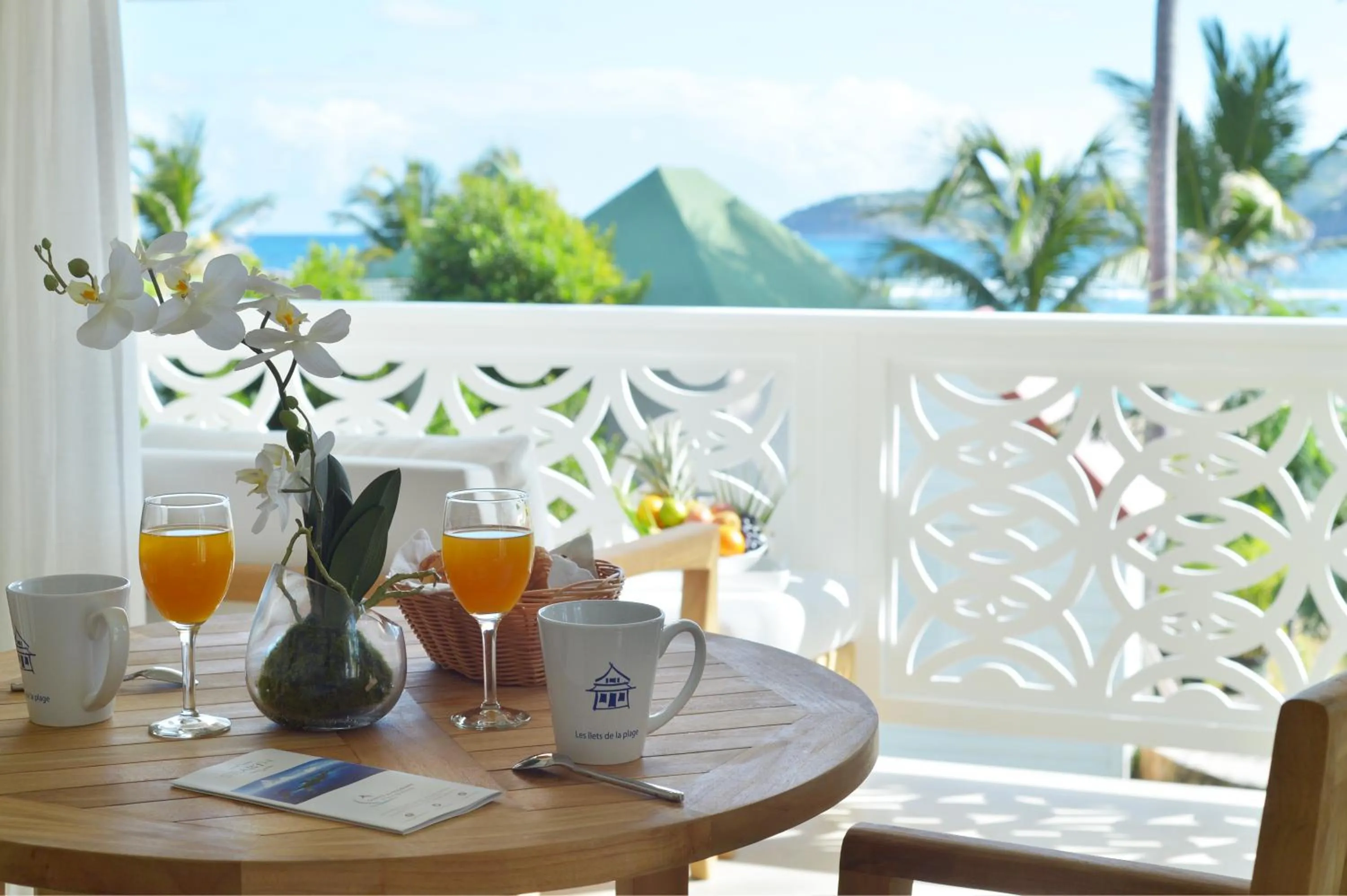 Balcony/Terrace in Les Ilets De La Plage