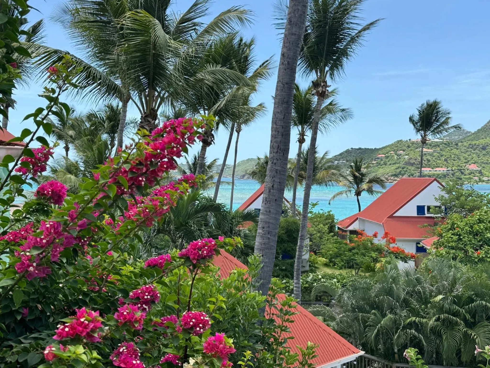 Garden in Les Ilets De La Plage