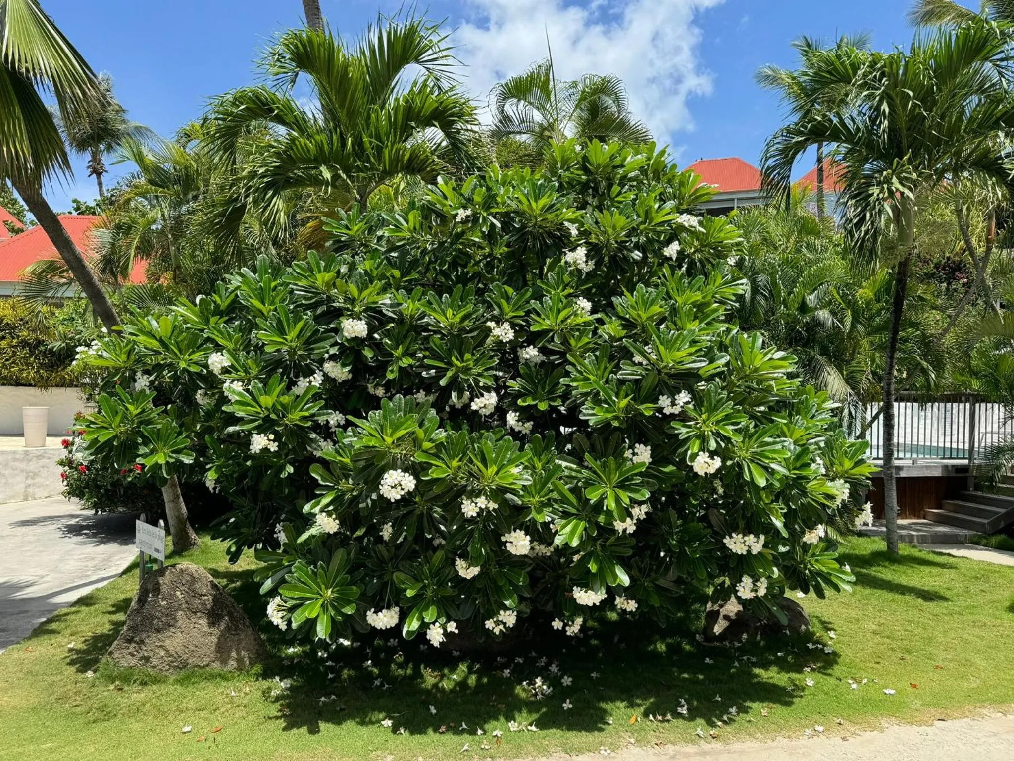 Garden in Les Ilets De La Plage