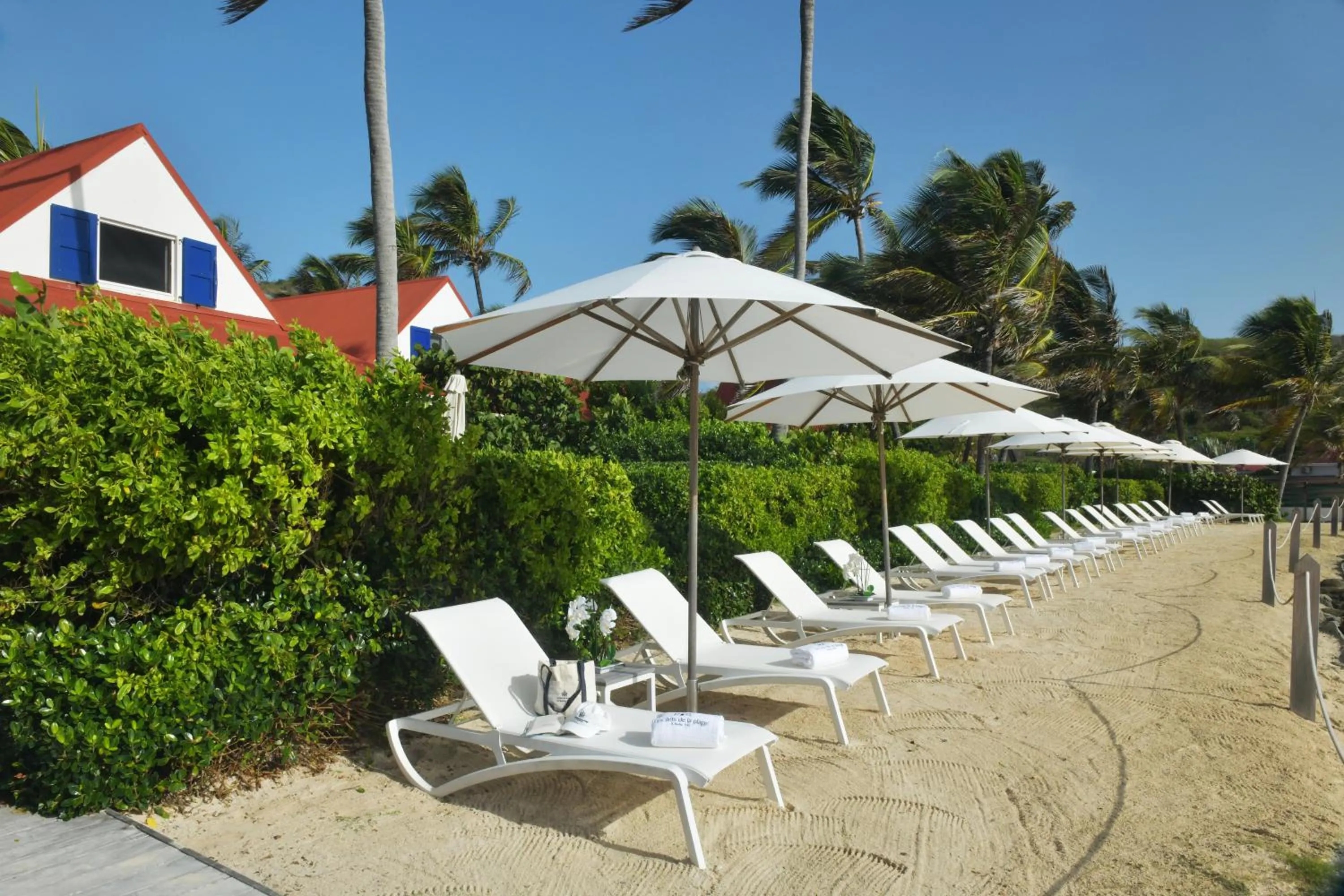 Beach in Les Ilets De La Plage