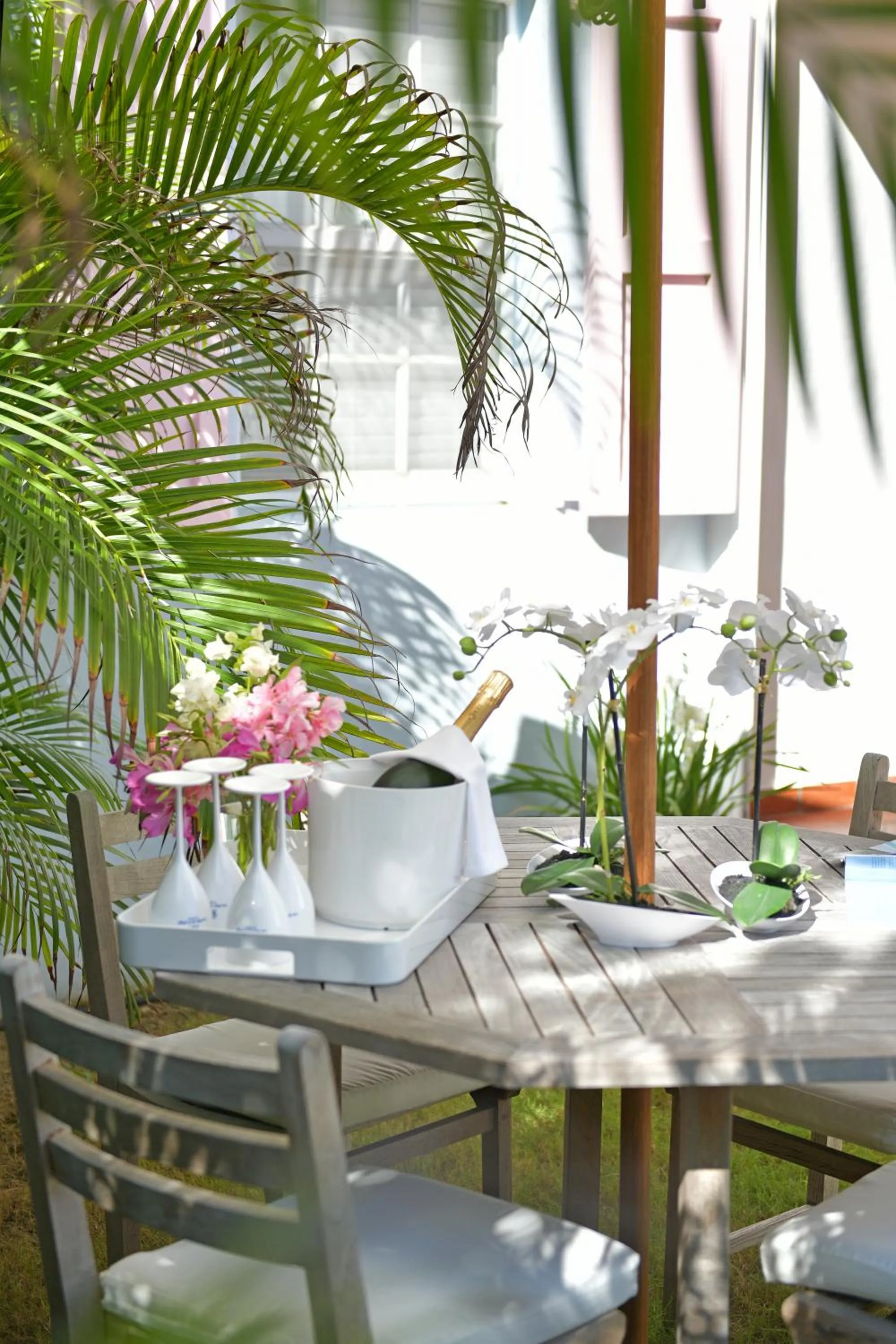 Garden in Les Ilets De La Plage