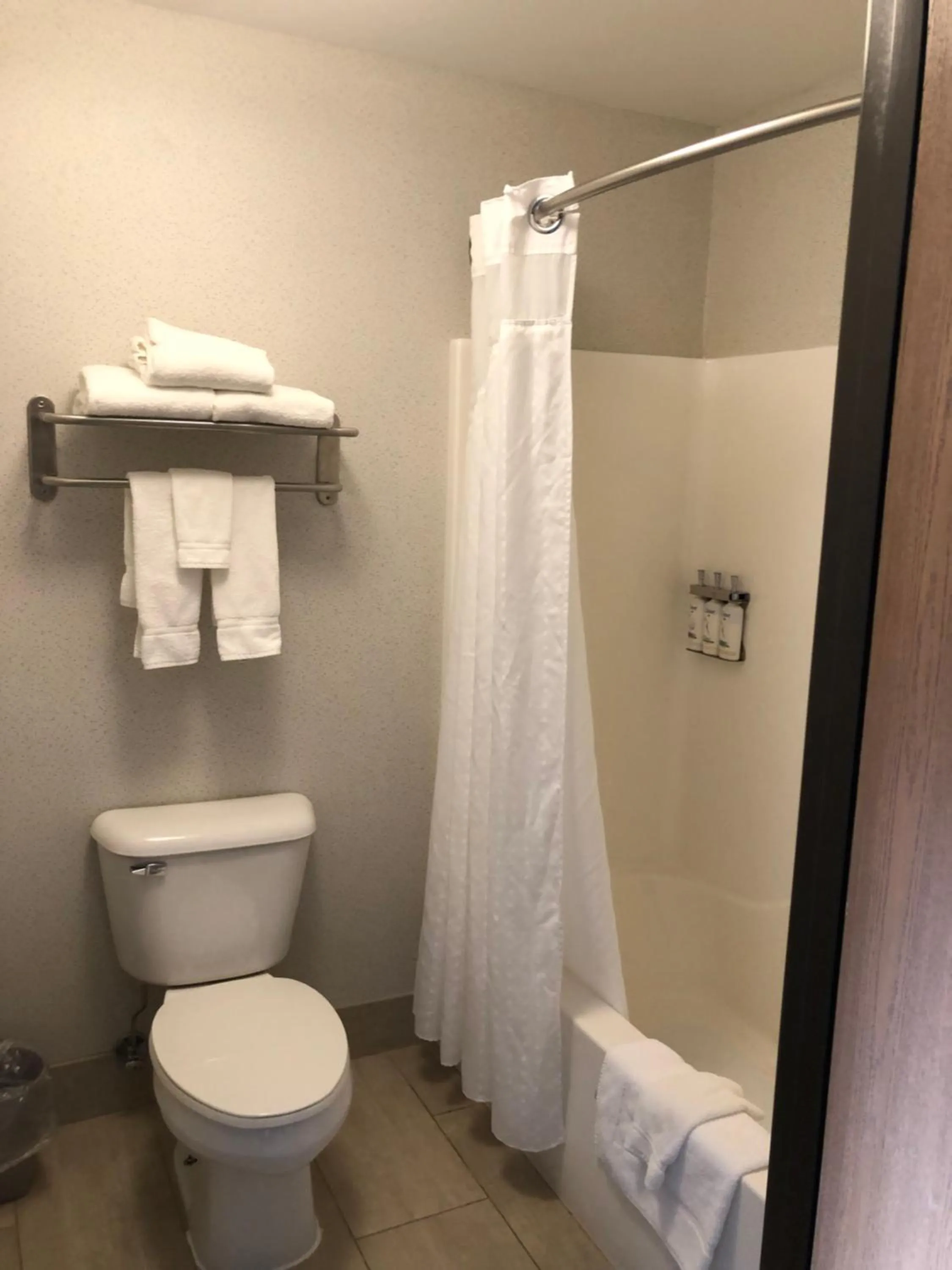 Shower in Holiday Inn Express Mt. Vernon by IHG