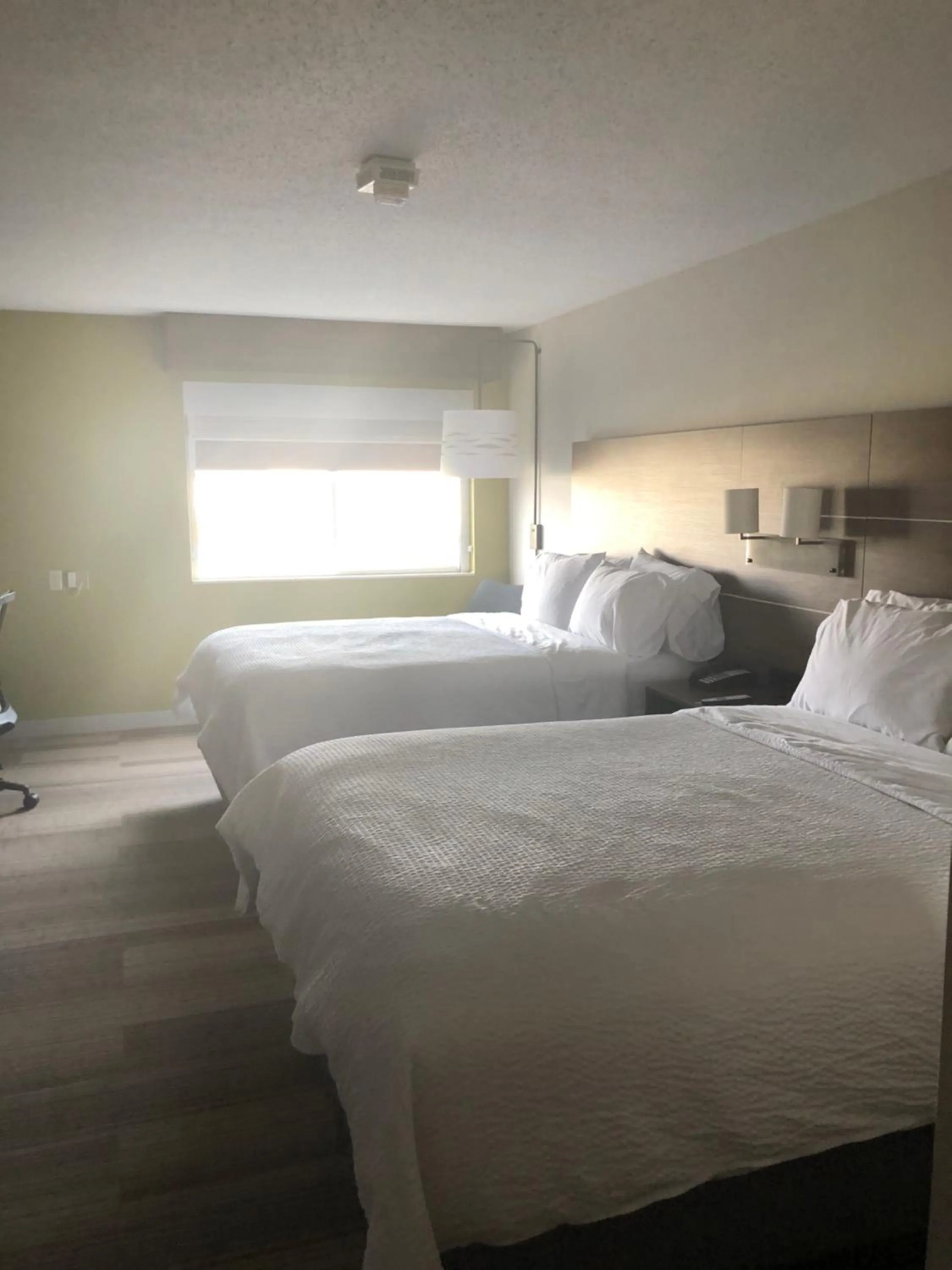 Bed in Holiday Inn Express Mt. Vernon by IHG