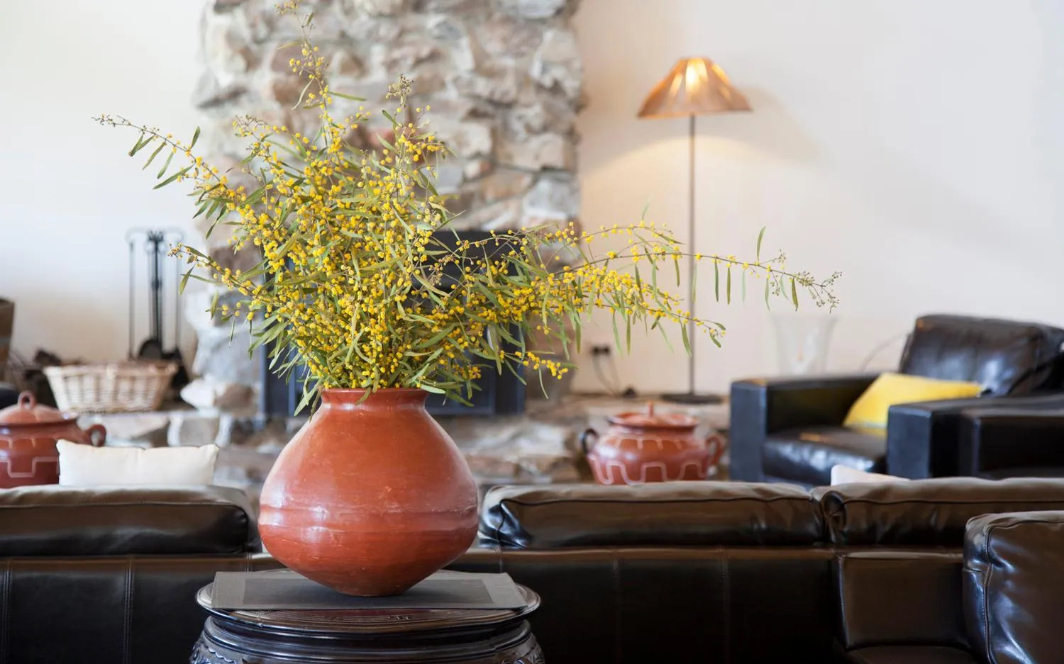 Property building in Saladin Lodge