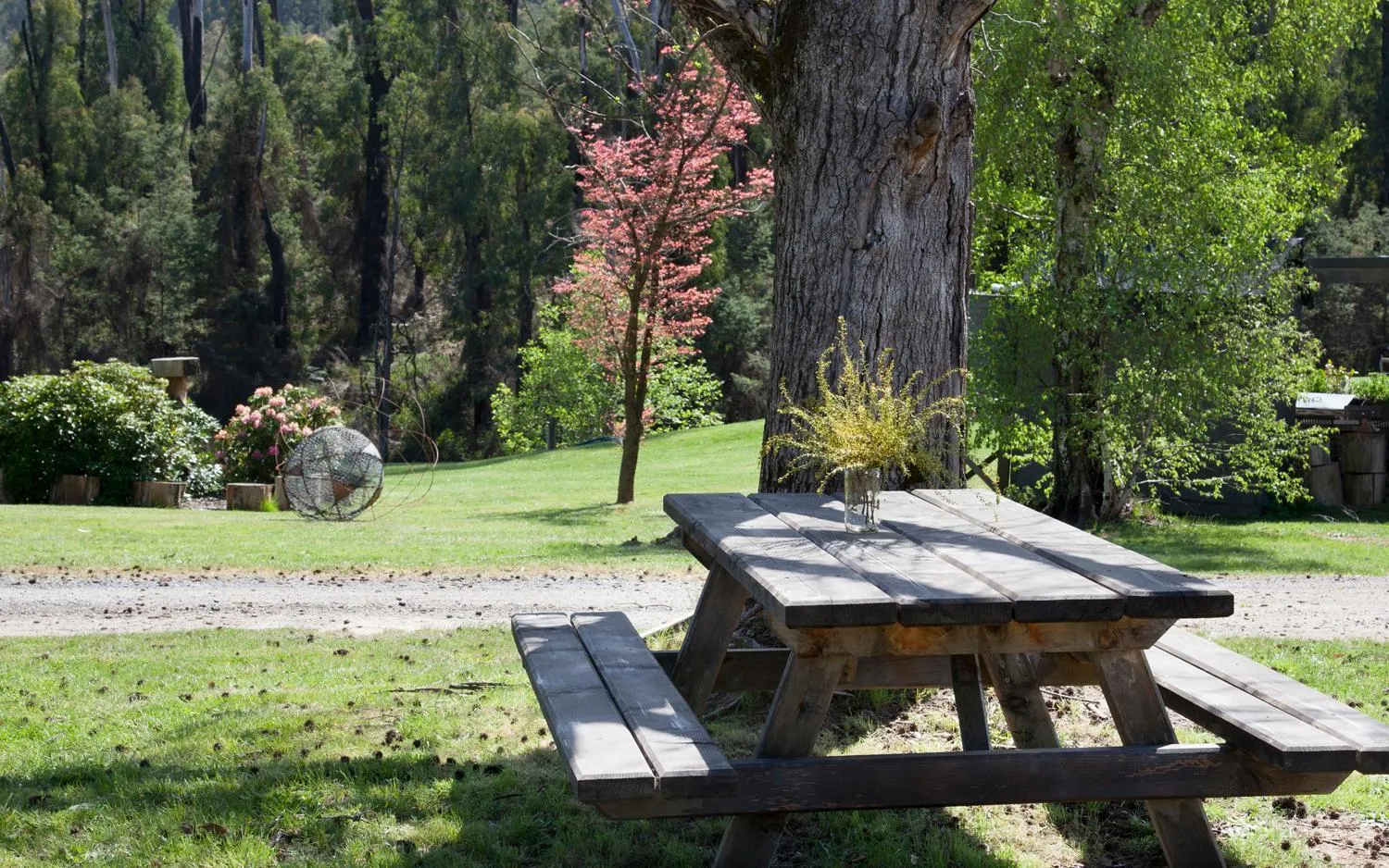 Property building in Saladin Lodge