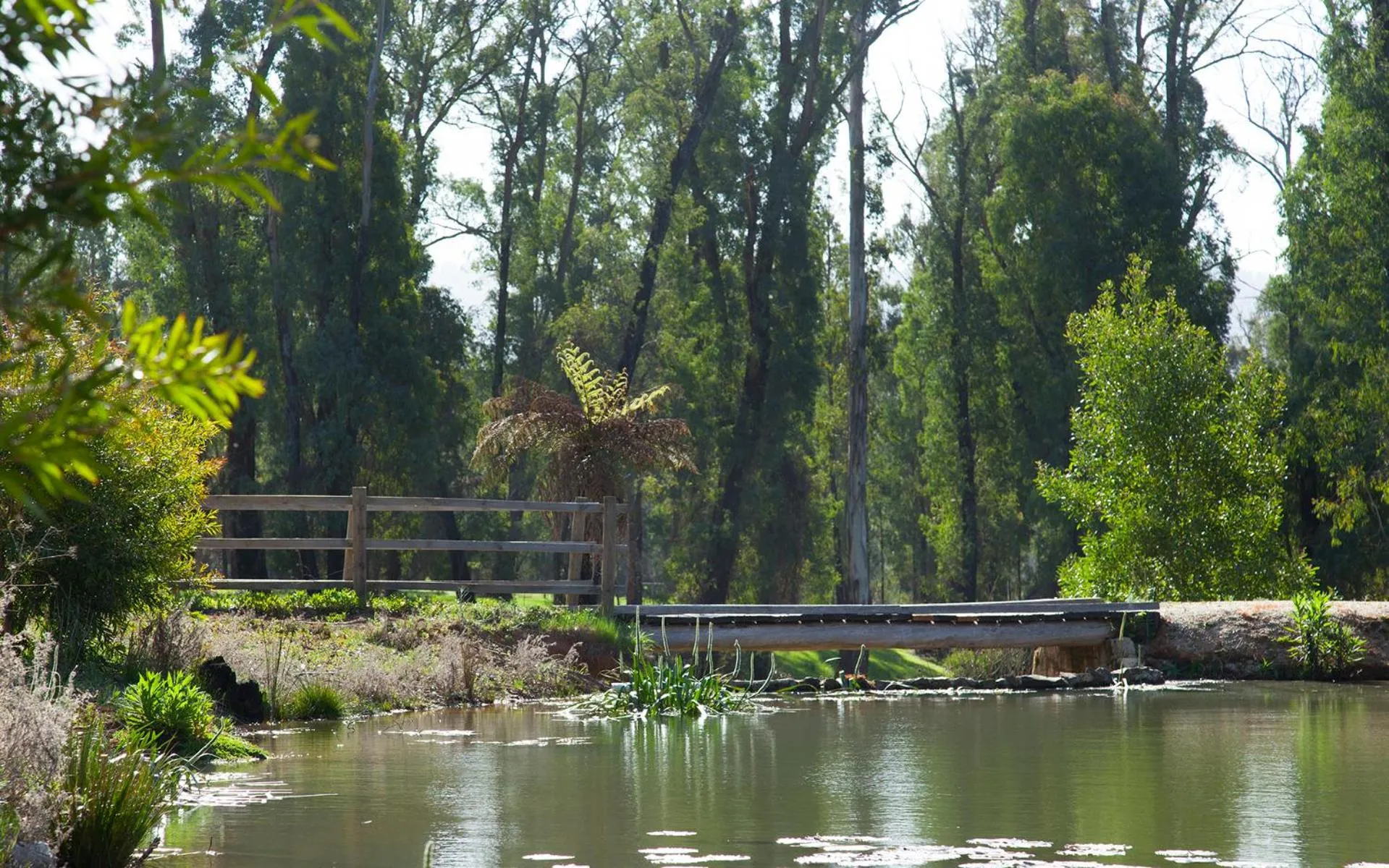 Area and facilities in Saladin Lodge