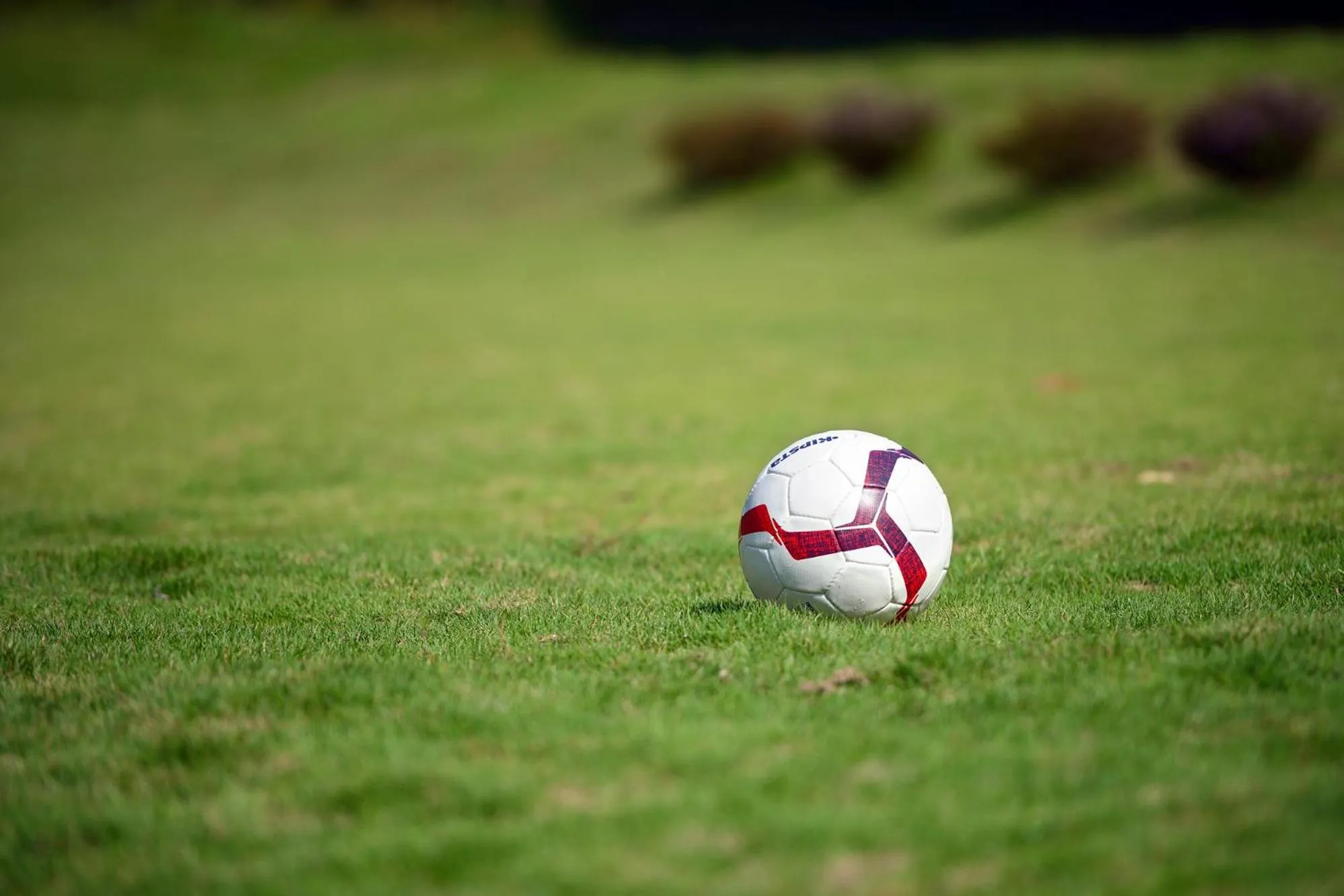 Sports in Notting Hill B&B