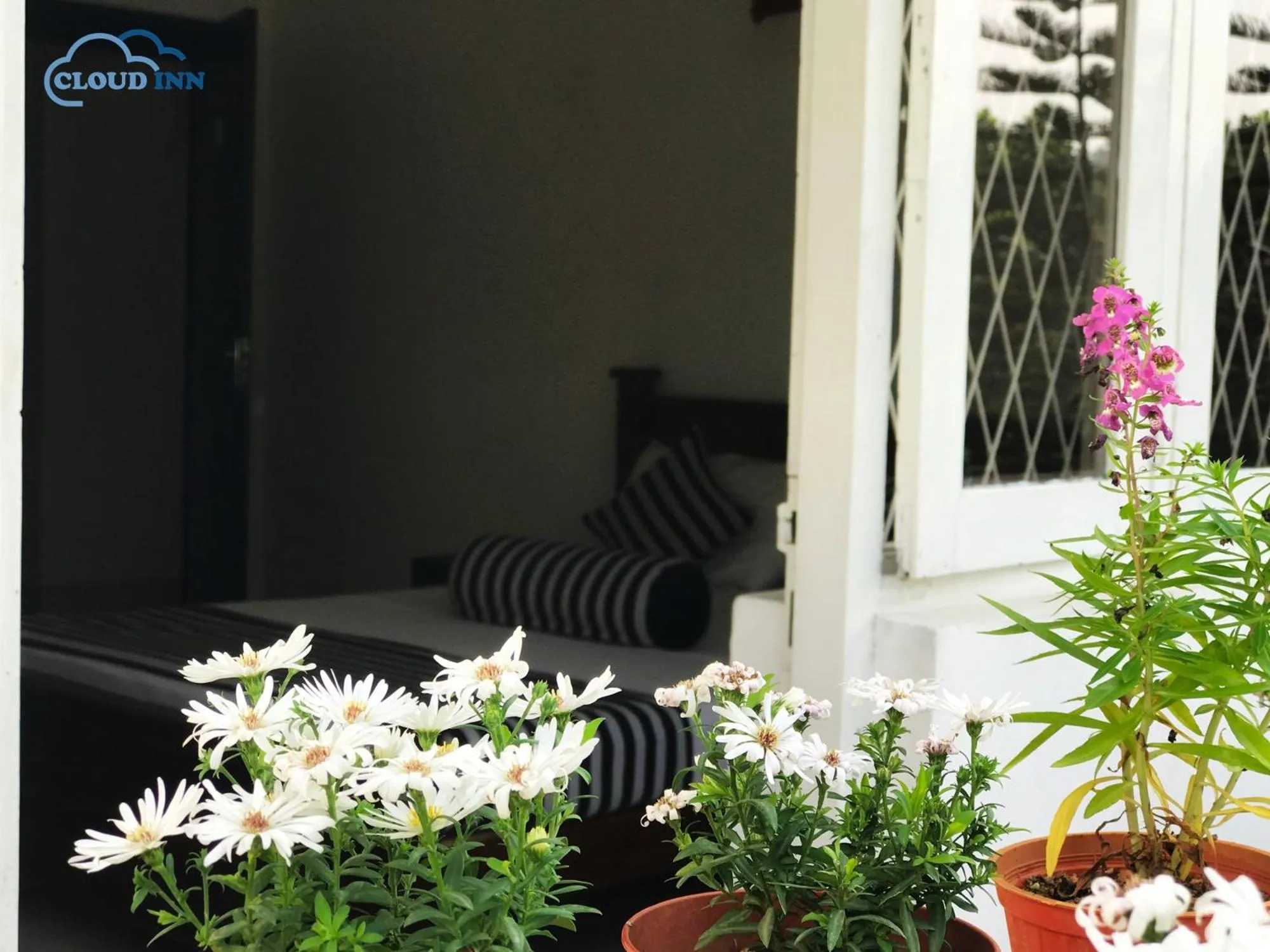 Cloud Inn Kandy Homestay - Near Temple of Tooth