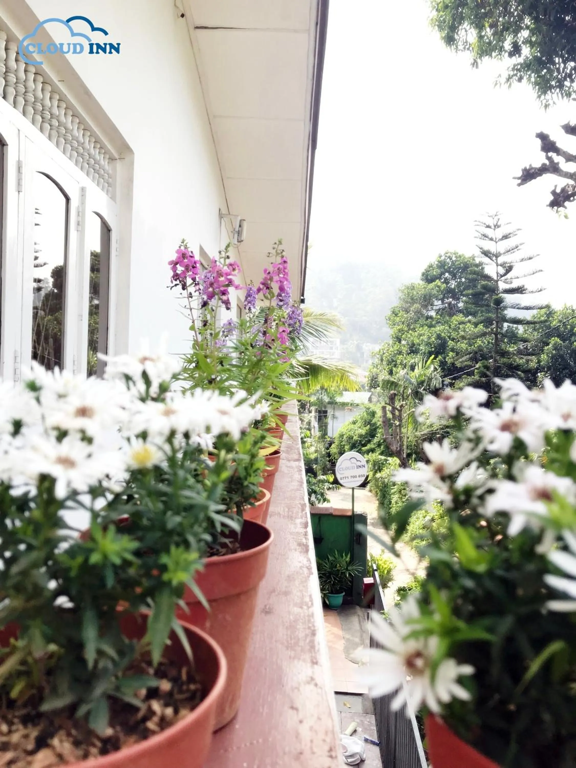 Cloud Inn Kandy Homestay - Near Temple of Tooth