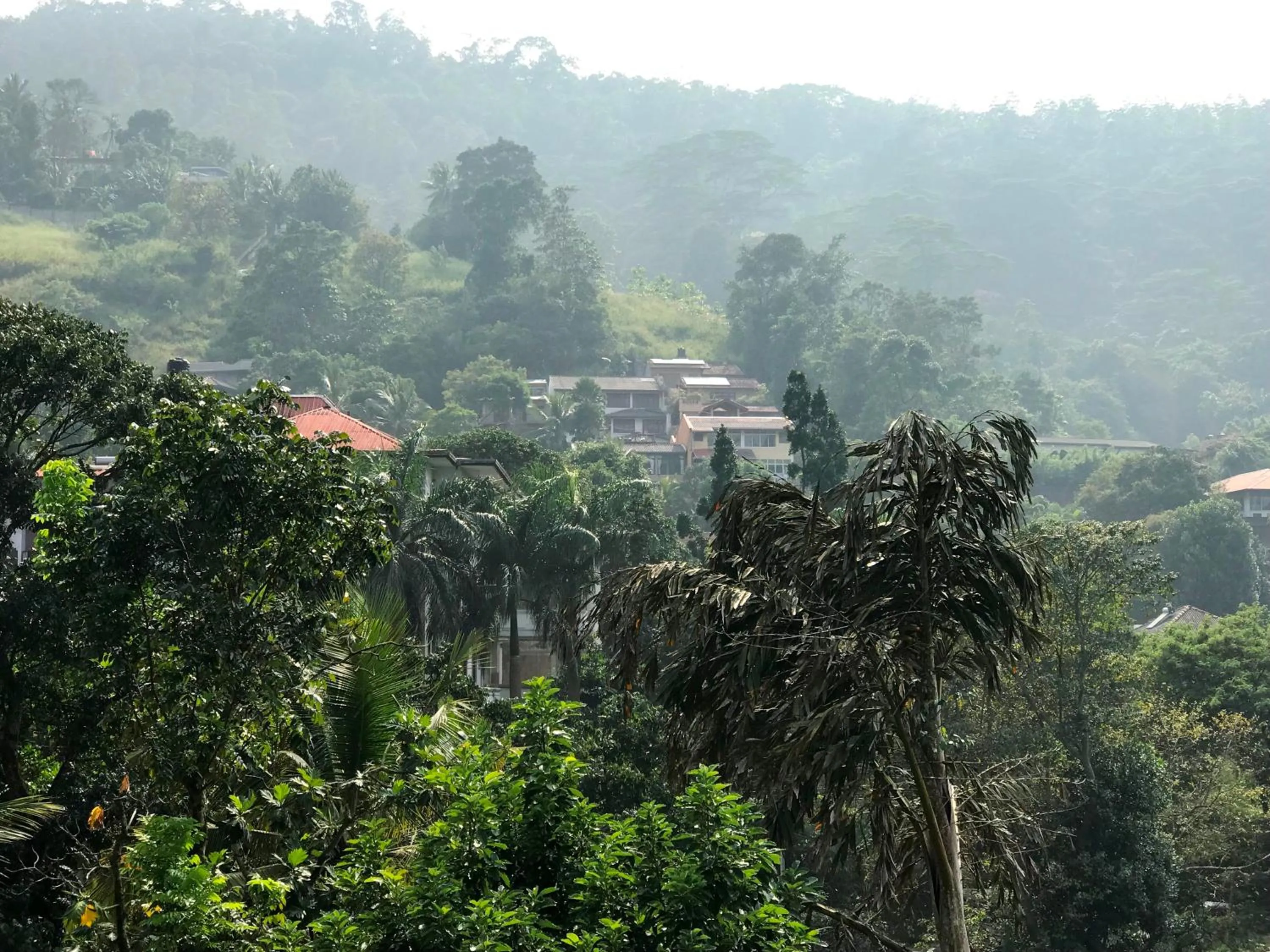 Cloud Inn Kandy Homestay - Near Temple of Tooth