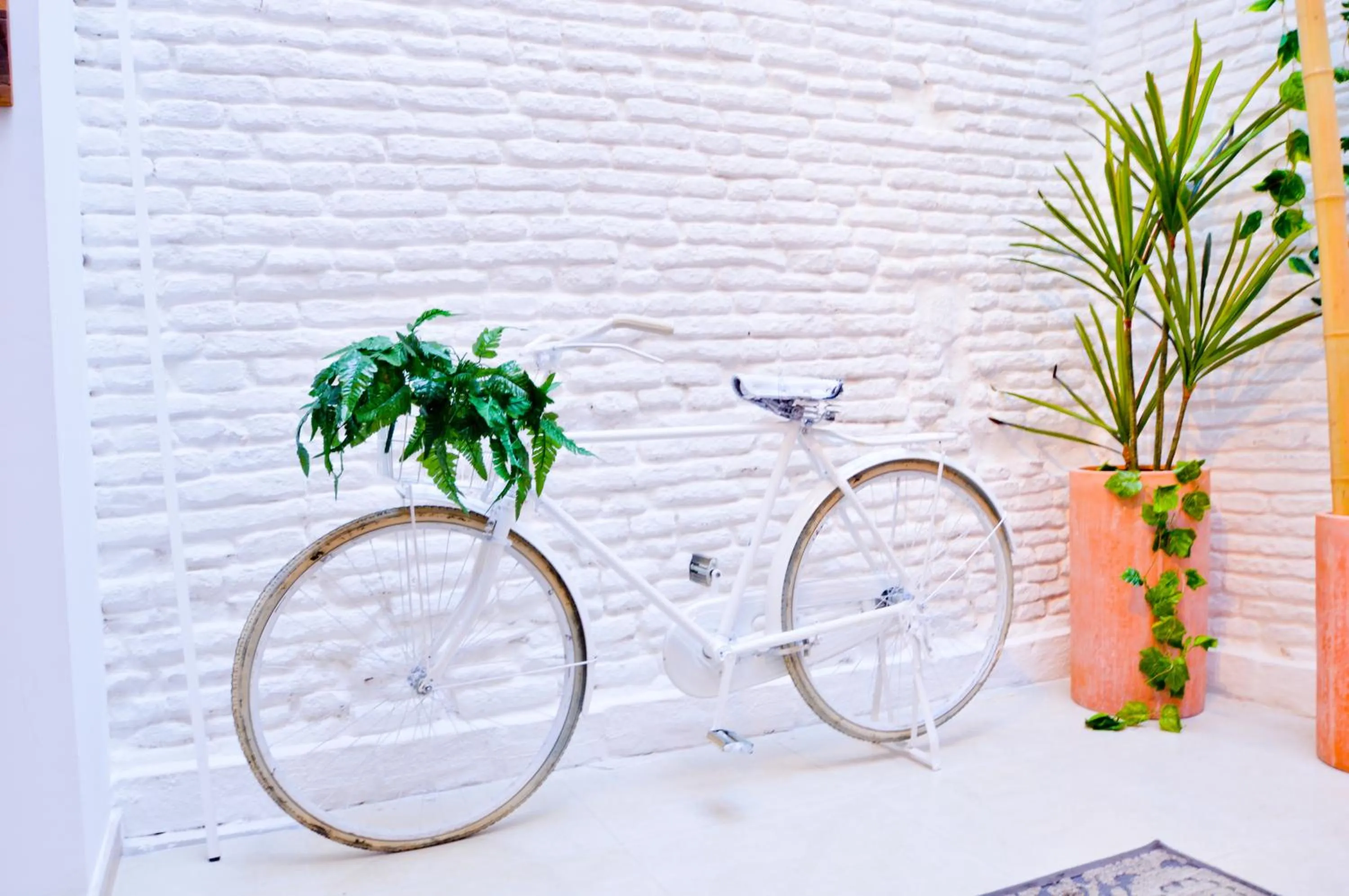 Communal lounge/ TV room in The Zentral Arenal Suites