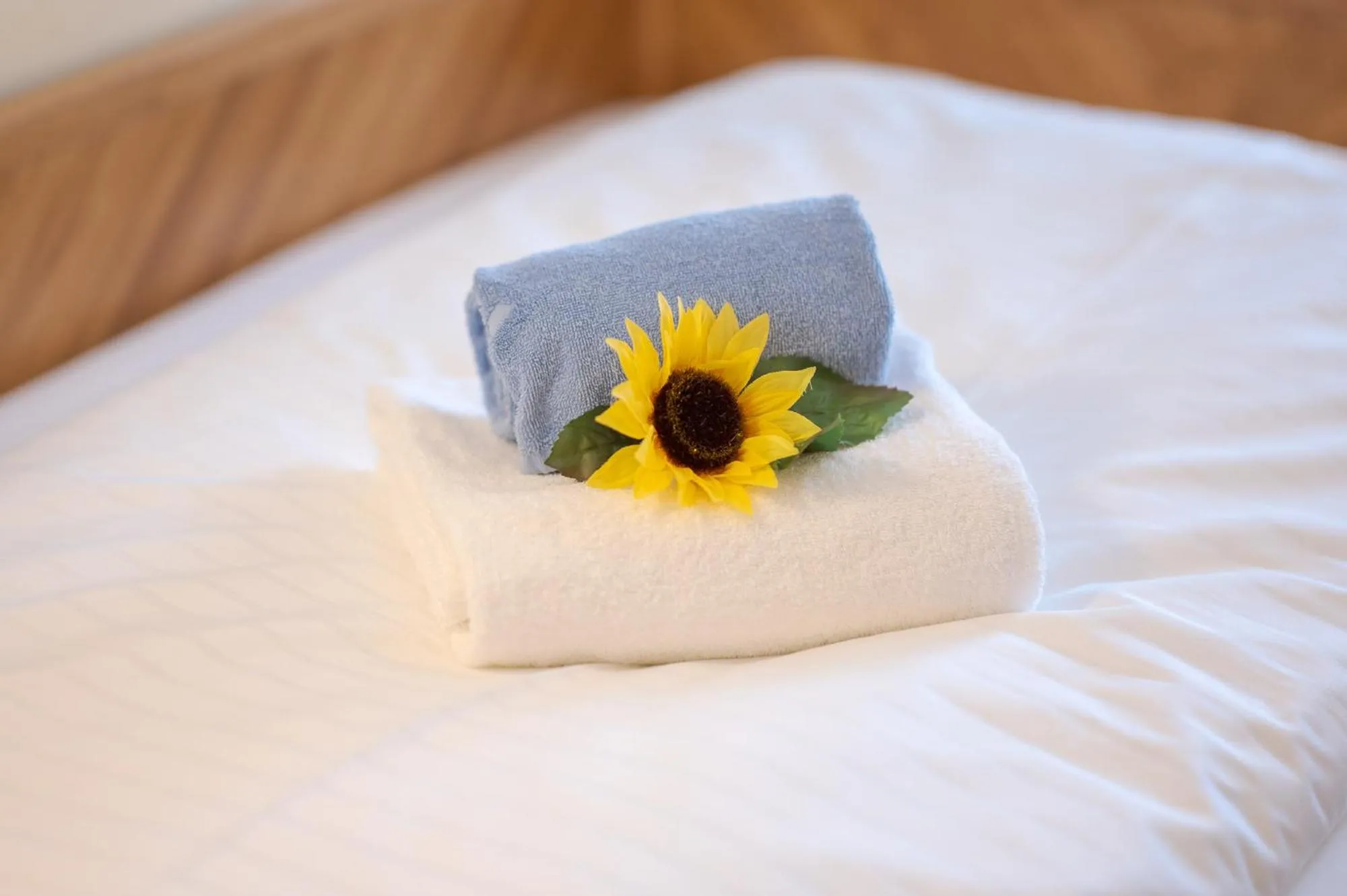 Day, Bed in Chalét zum Kurfürst