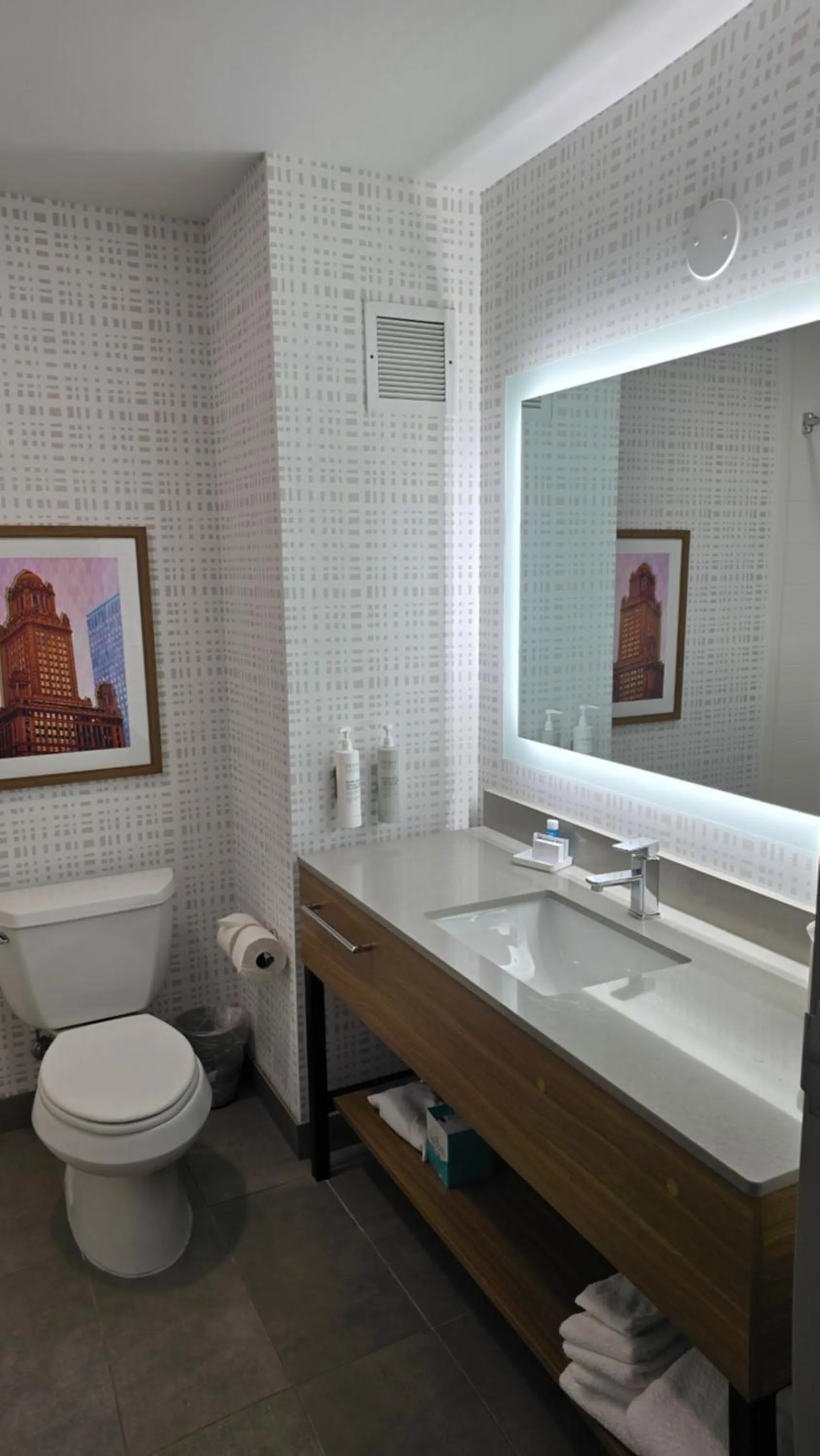 Bathroom in Hampton Inn & Suites Chicago Deer Park