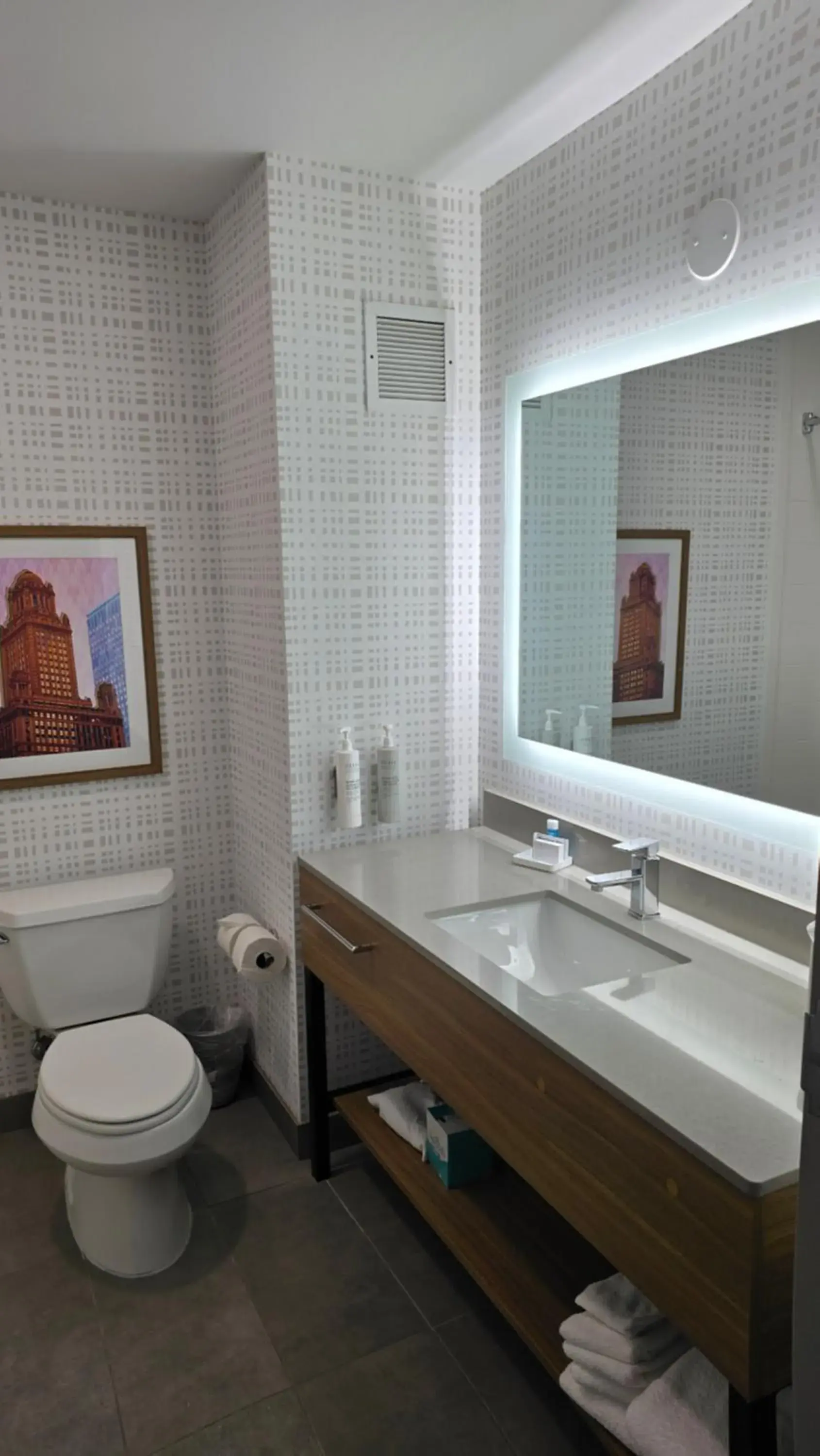 Bathroom in Hampton Inn & Suites Chicago Deer Park Bathroom in Hampton Inn & Suites Chicago Deer Park