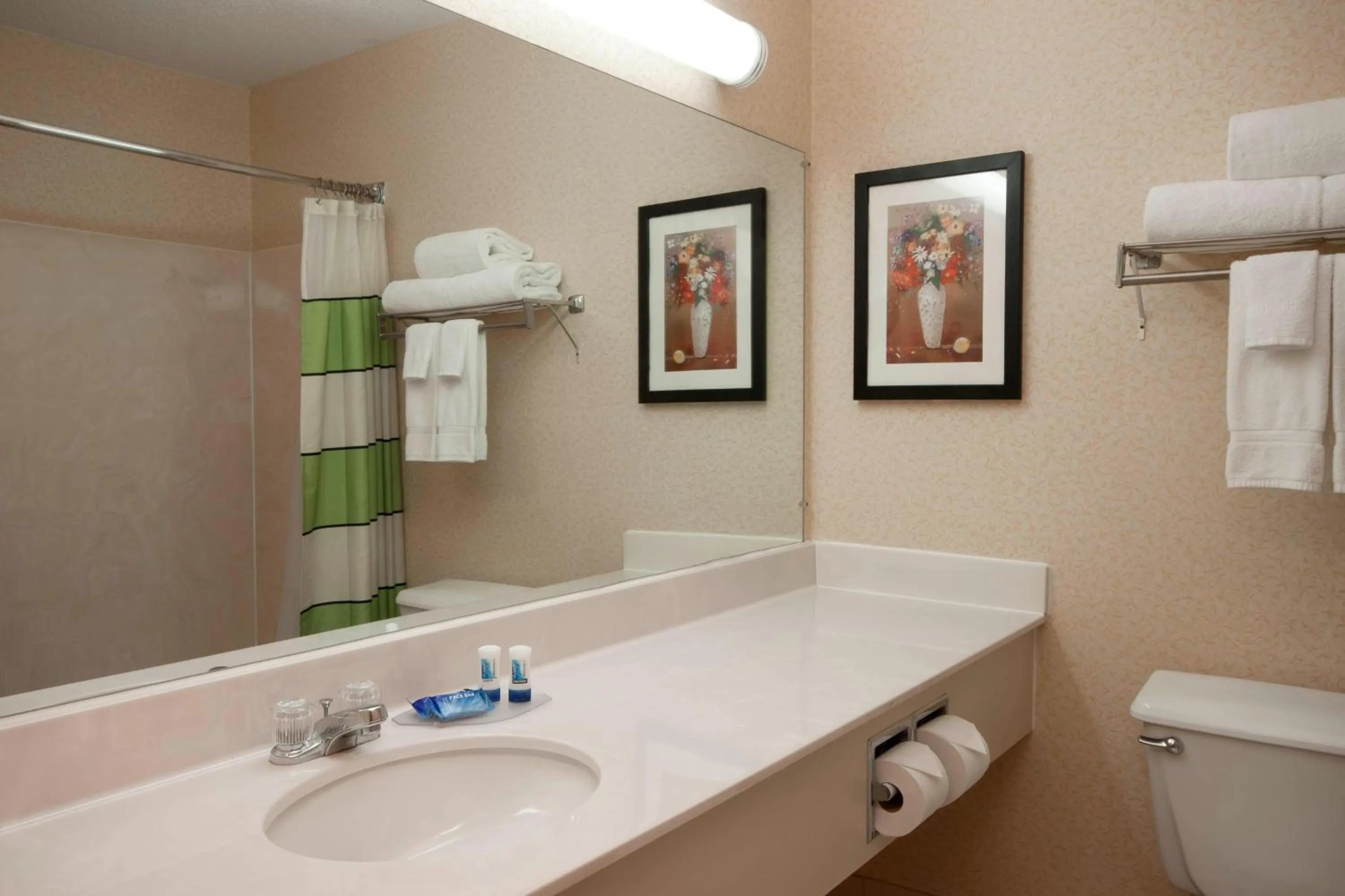 Bathroom in Fairfield Inn by Marriott Joliet South