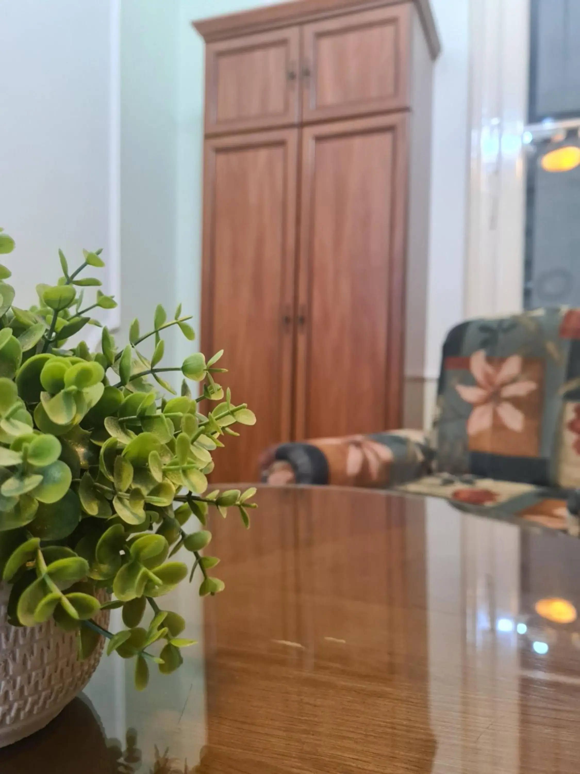 Apartment - single occupancy in Siesta Apartment - single occupancy in Siesta