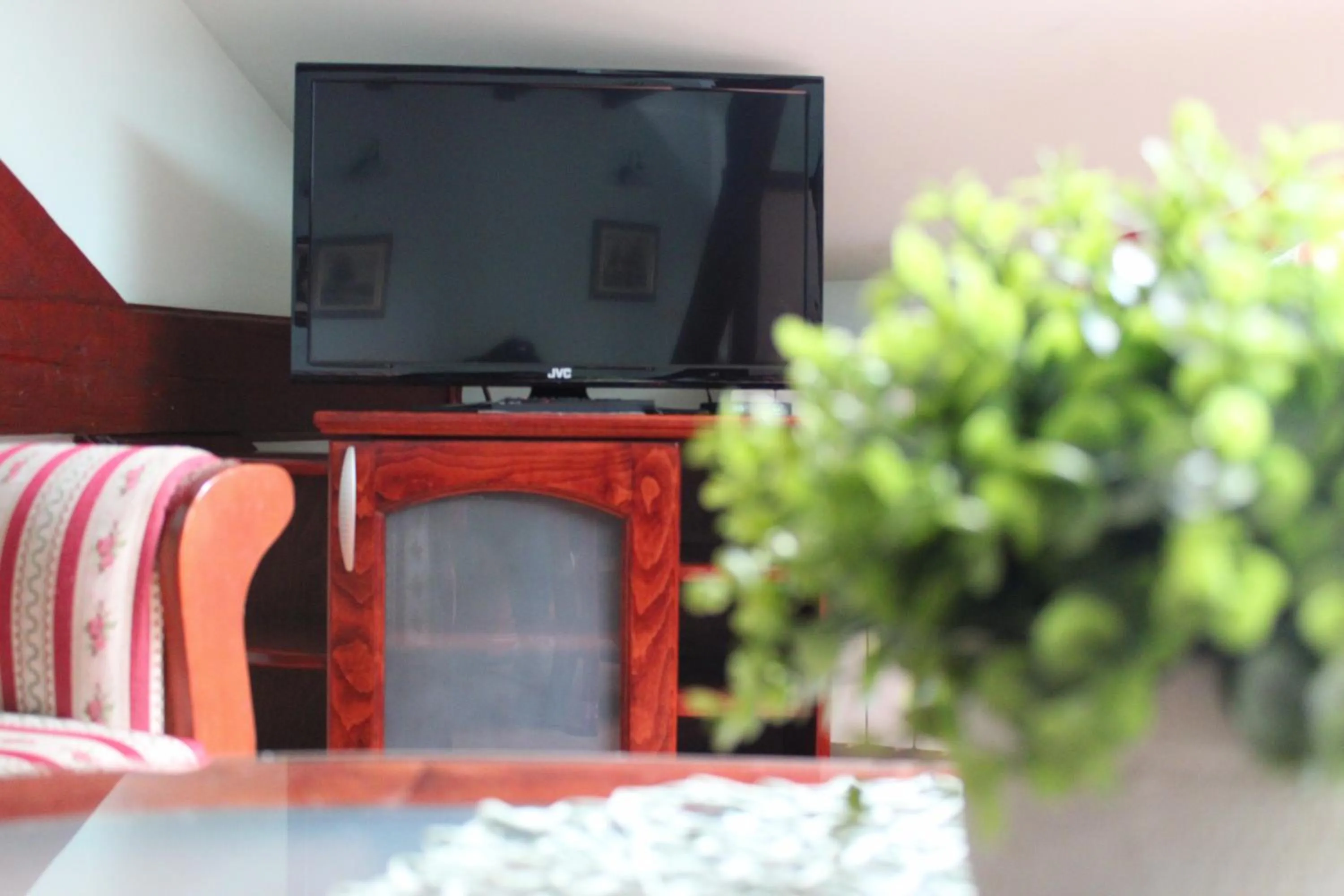 TV and multimedia in Siesta
