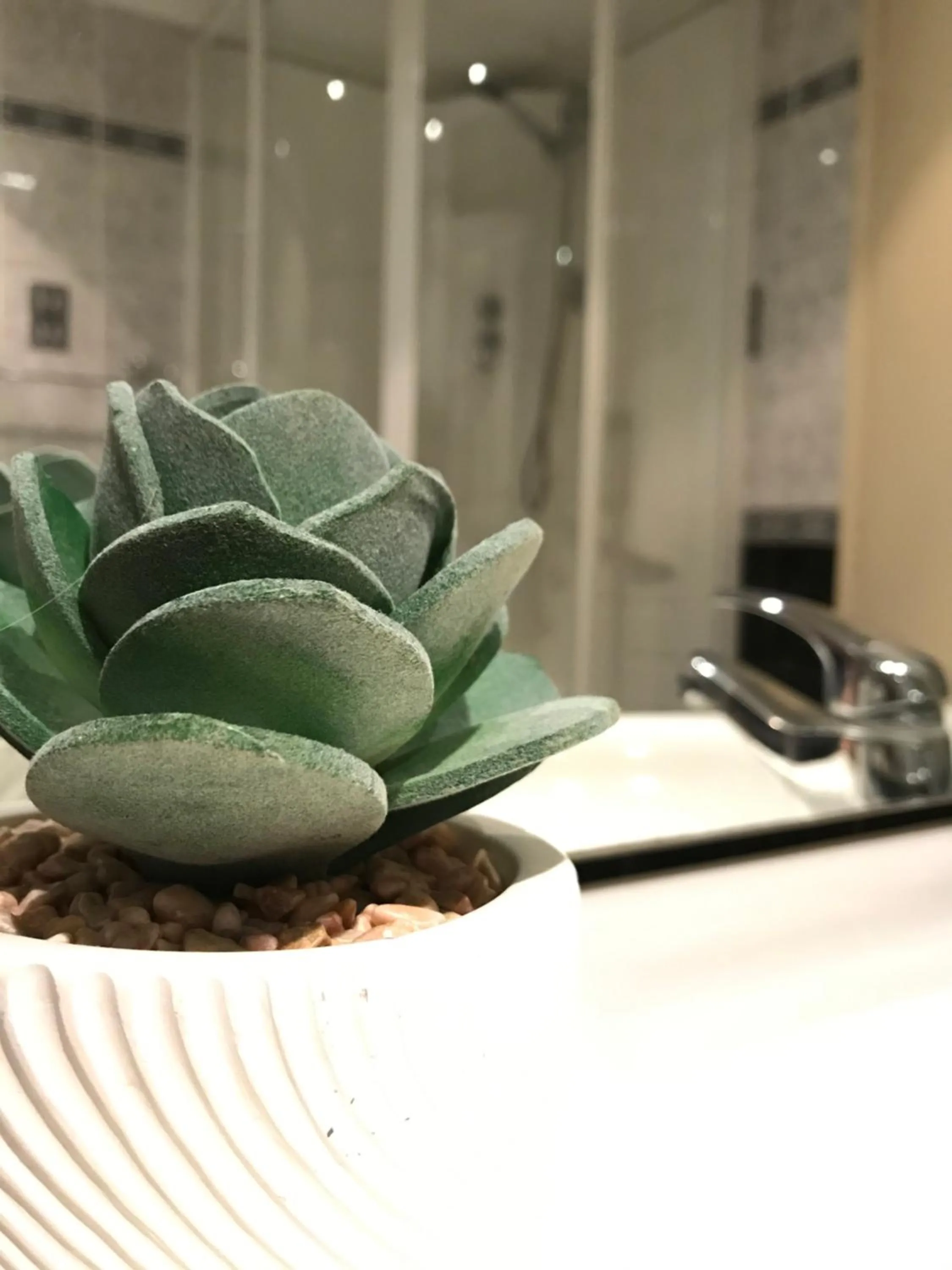 Bathroom in Siesta