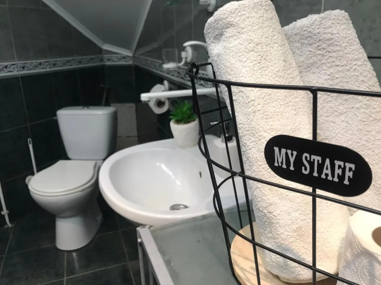 Toilet in Siesta