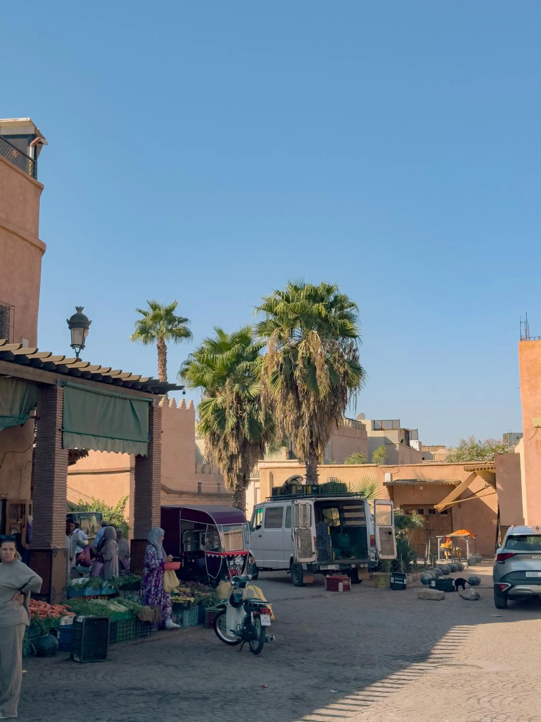 Staff in Riad Lapis-lazuli
