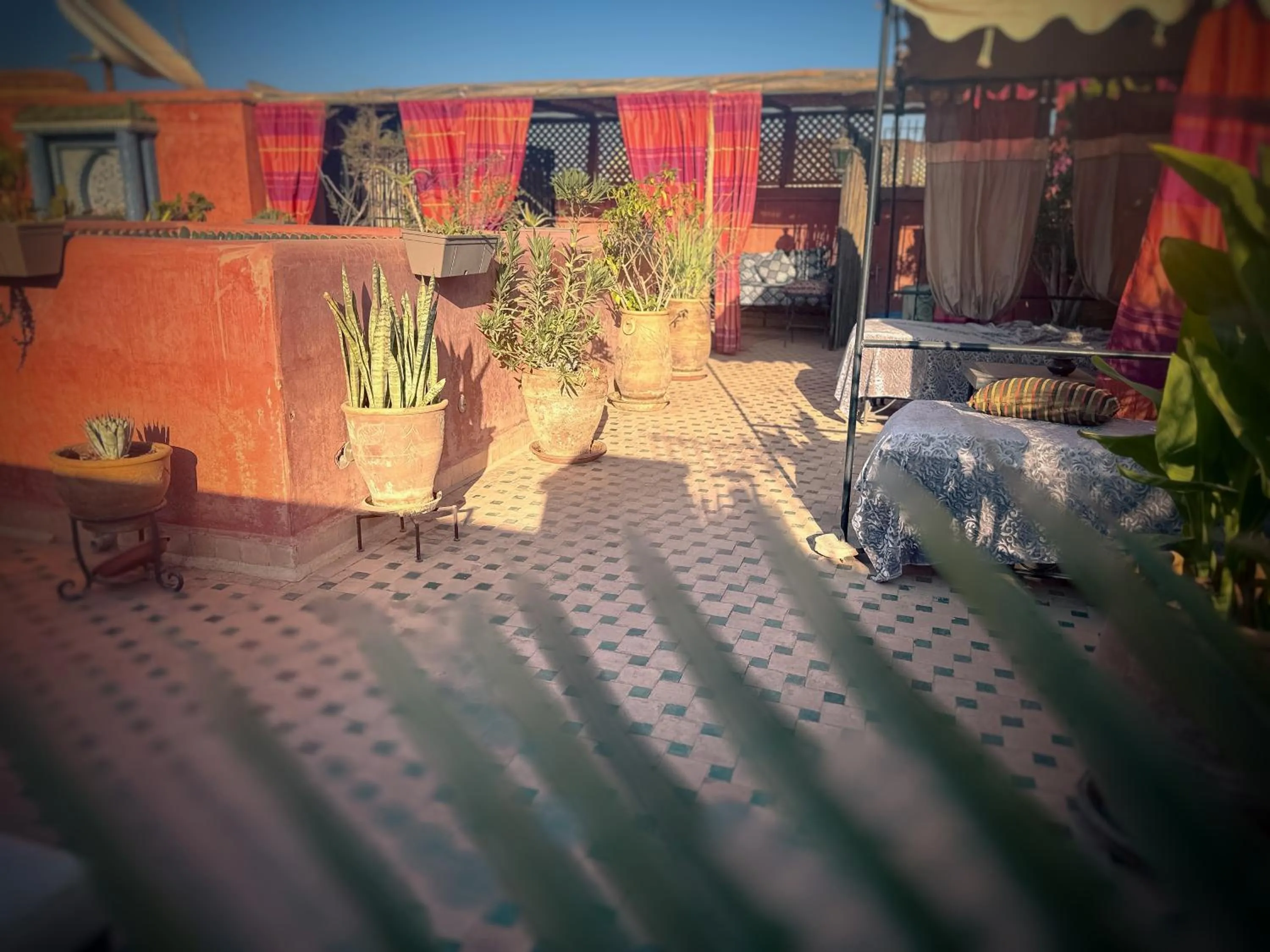 Patio in Riad Lapis-lazuli