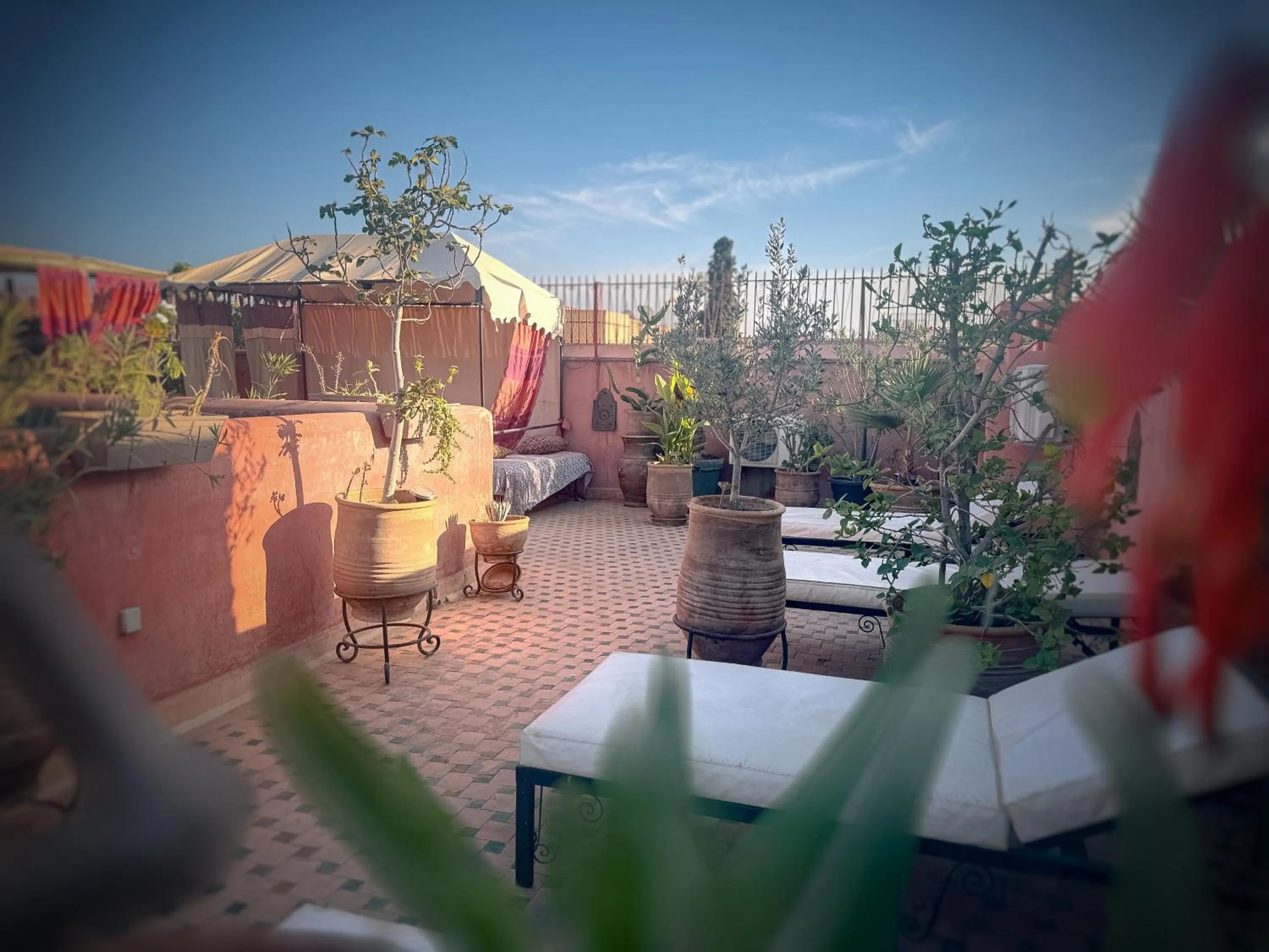 Patio in Riad Lapis-lazuli