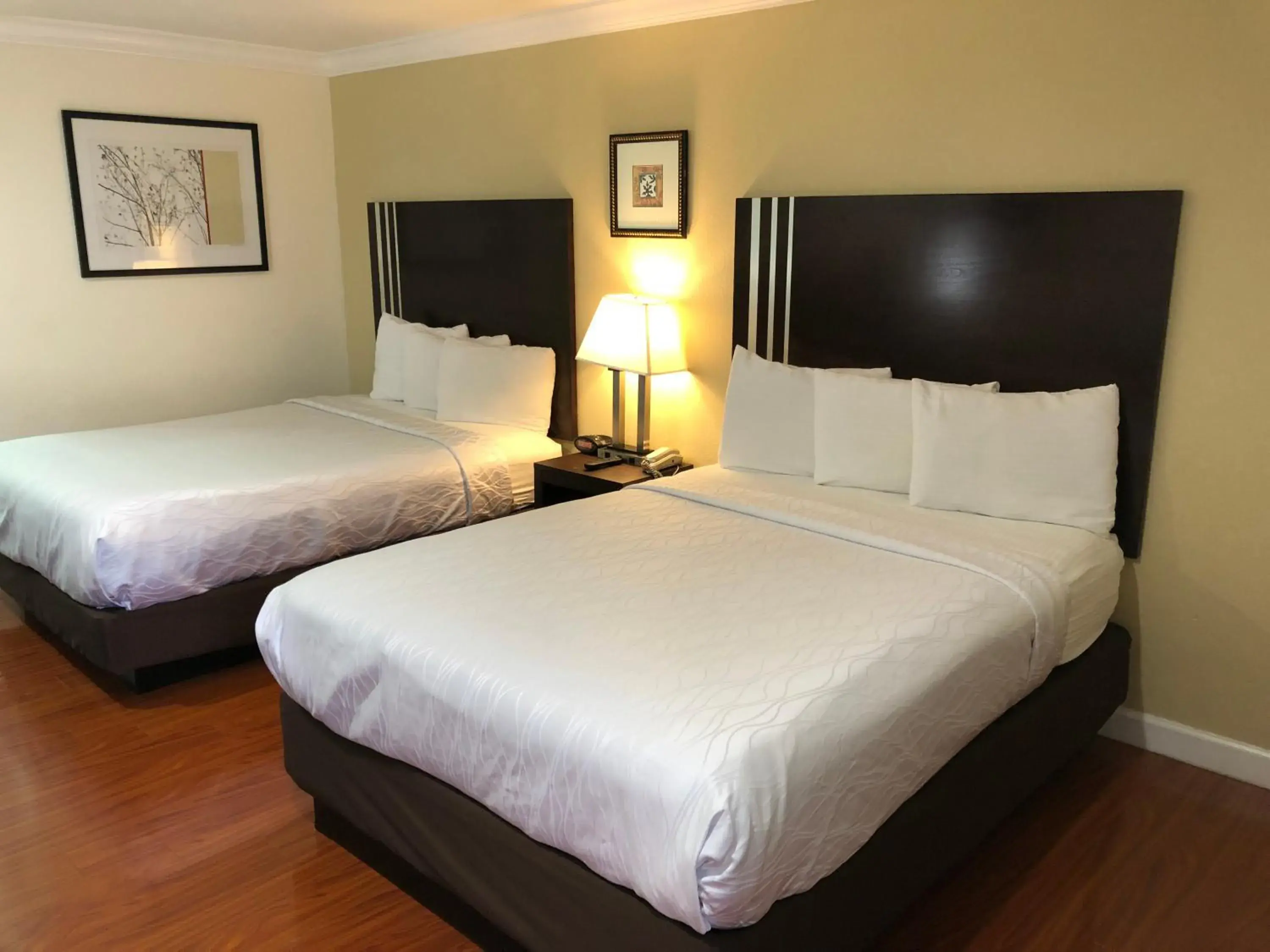 Bed in Lombard Plaza Motel Bed in Lombard Plaza Motel