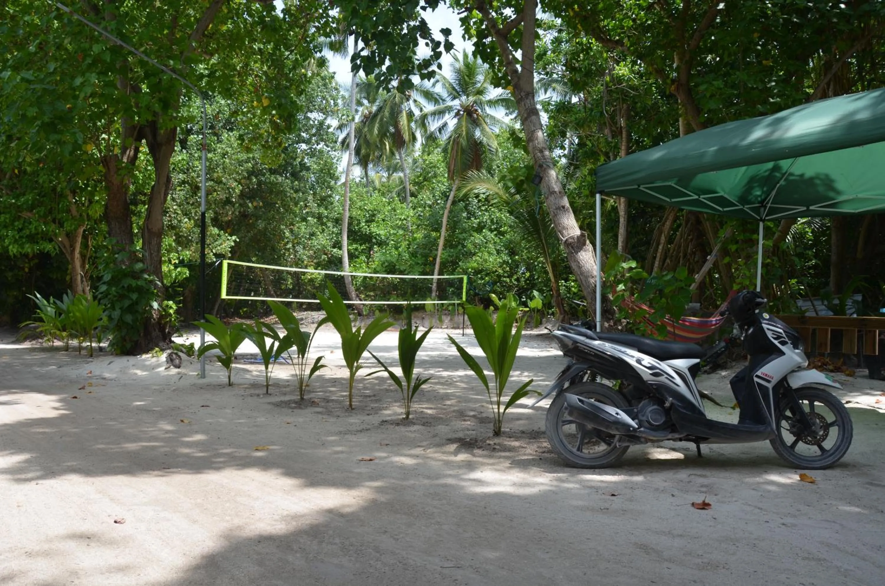 Area and facilities in Dive Villa Thoddoo